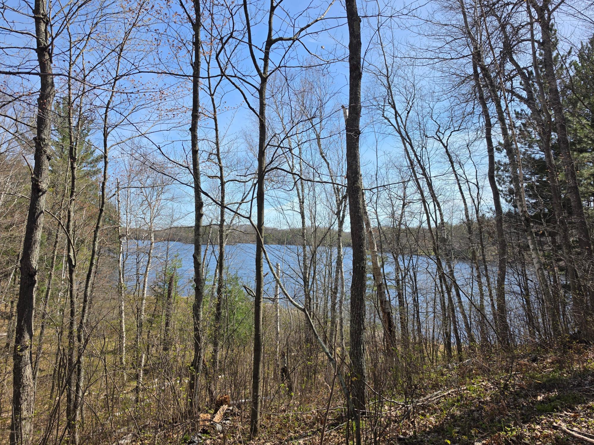 Little Bearskin Lake Property Lot 2 Little Bearskin Rd Photo 16
