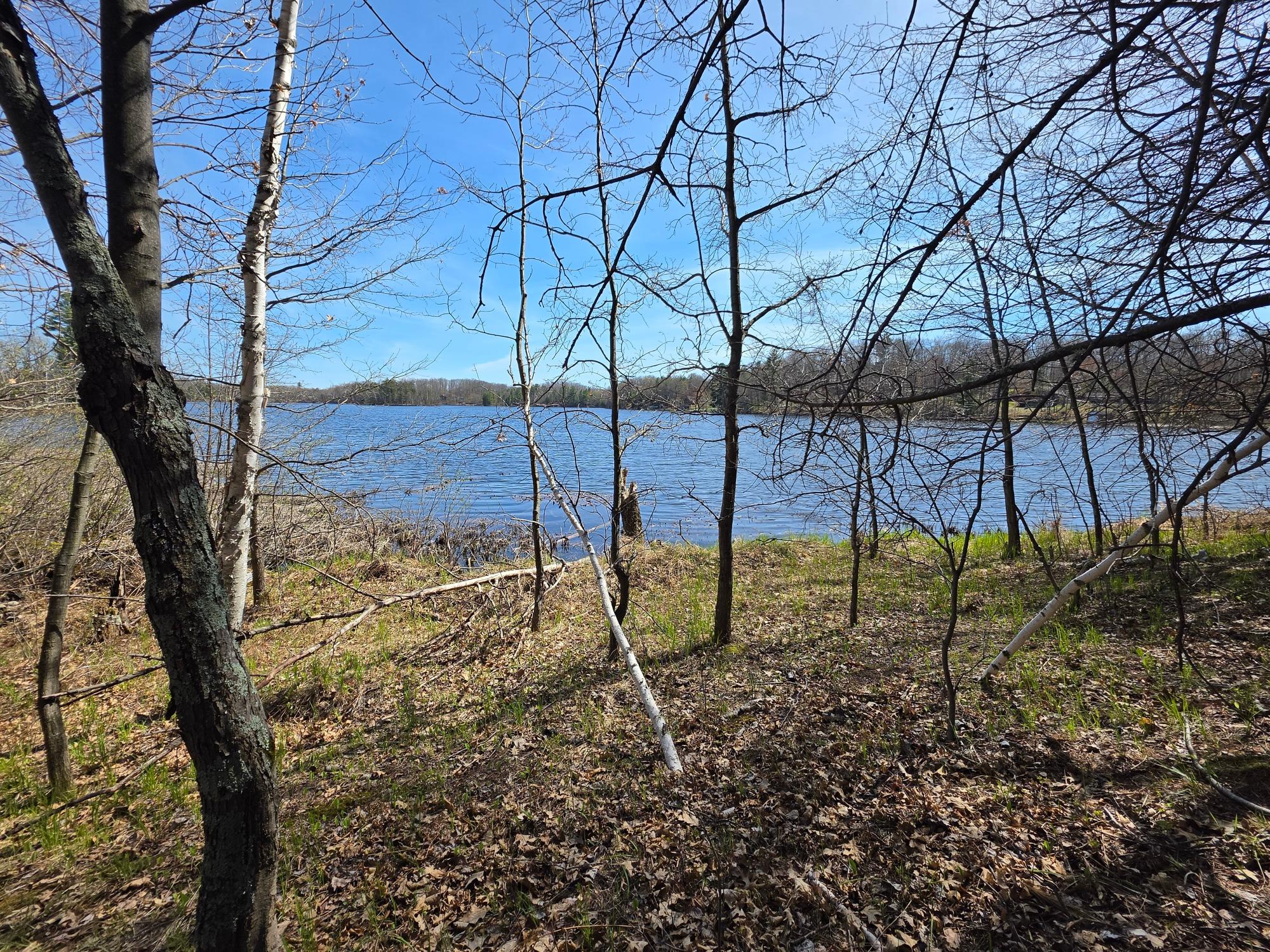 Little Bearskin Lake Property Lot 2 Little Bearskin Rd Photo 18
