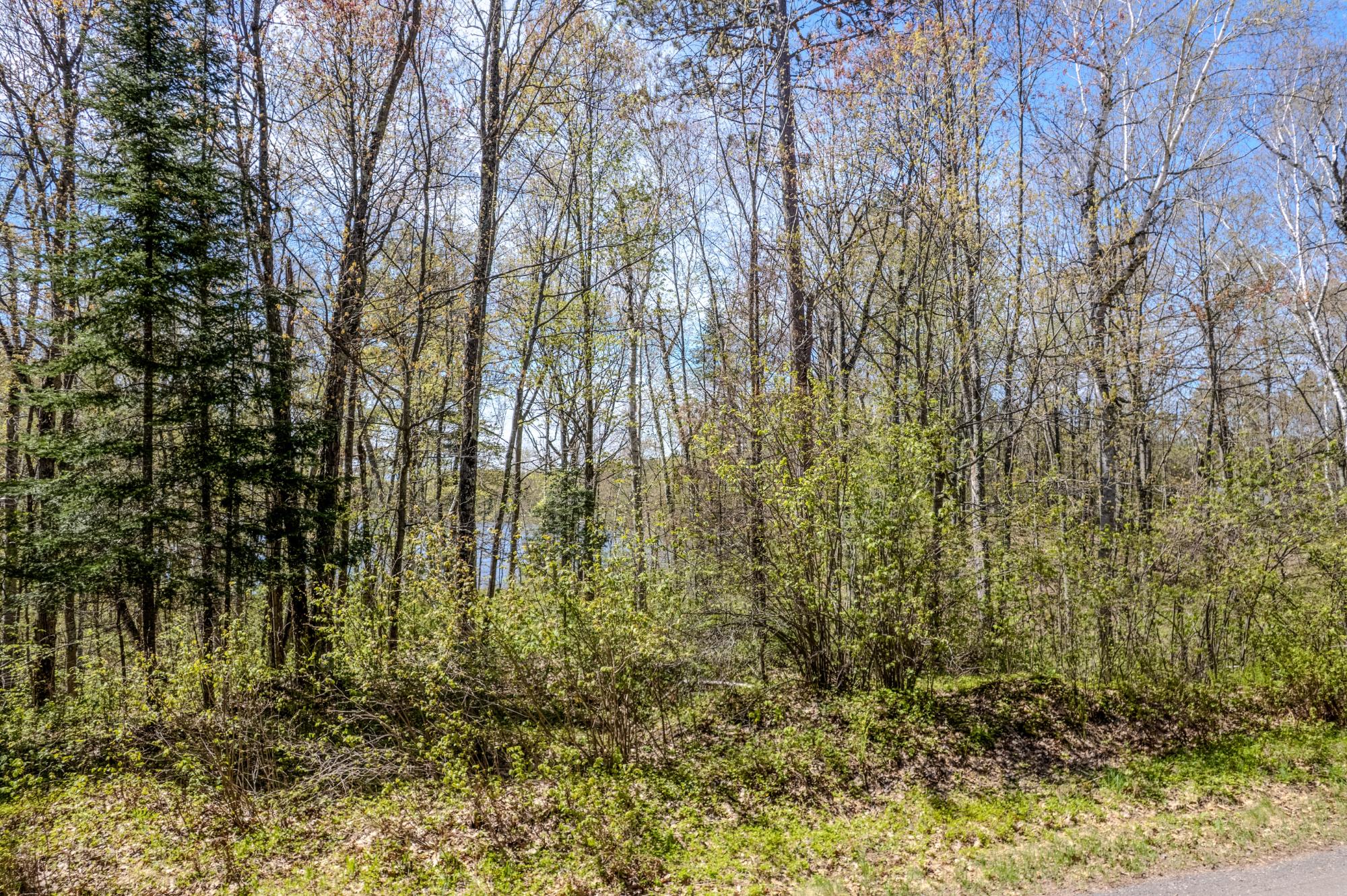 Little Bearskin Lake Property Lot 2 Little Bearskin Rd Photo 3