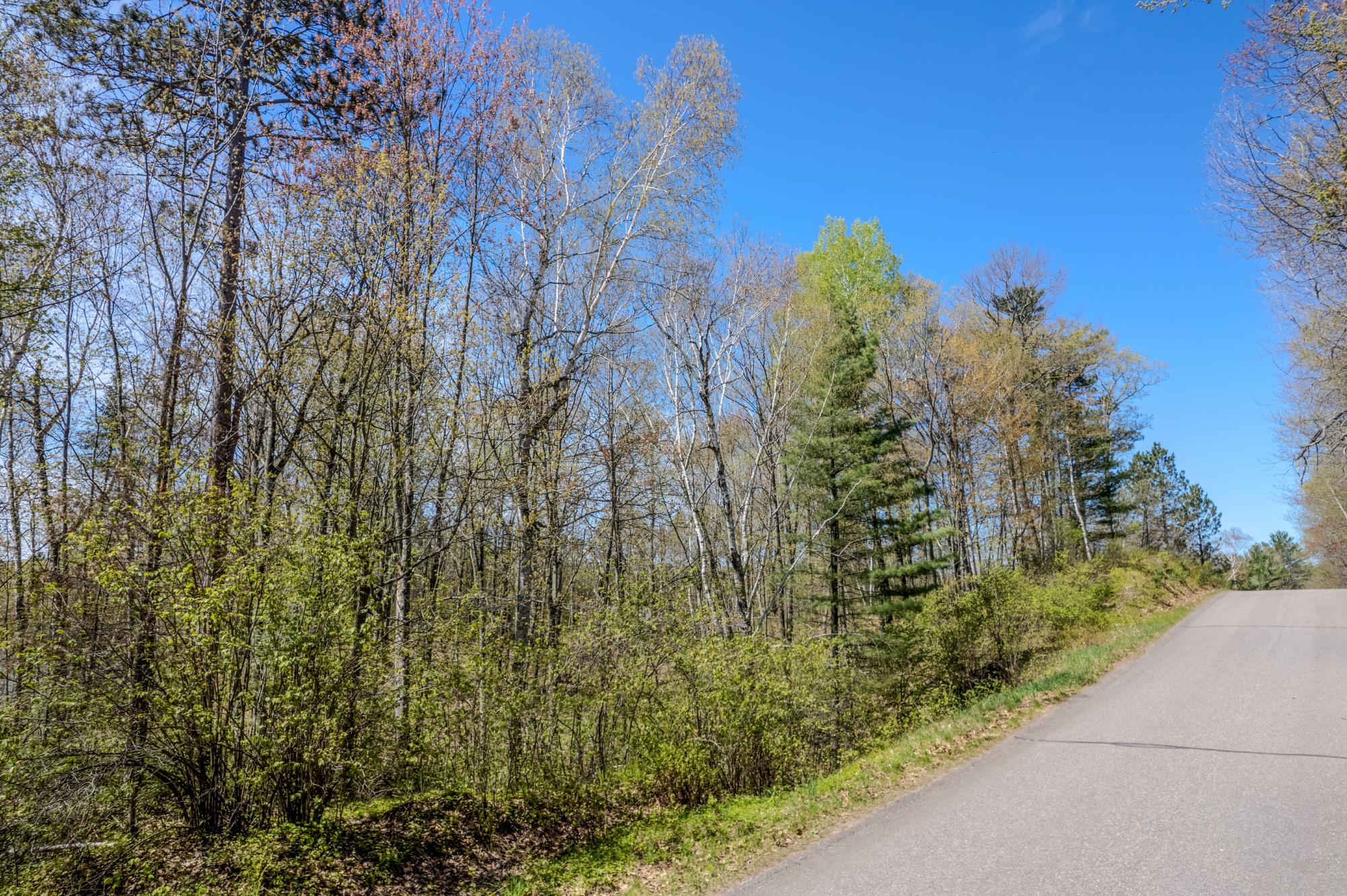 Little Bearskin Lake Property Lot 2 Little Bearskin Rd Photo 4