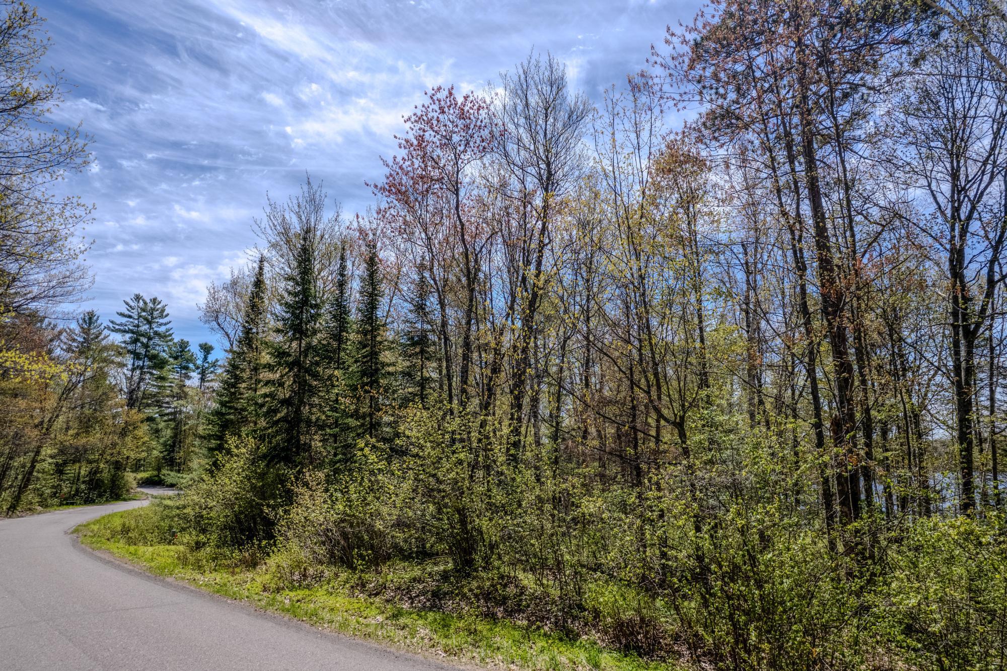 Little Bearskin Lake Property Lot 2 Little Bearskin Rd Photo 5
