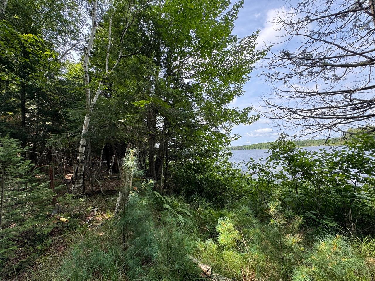 Martha Lake Property 1992W Diamond Rd Photo 10