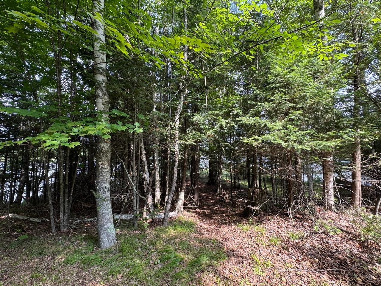 Martha Lake Property 1992W Diamond Rd Photo 26