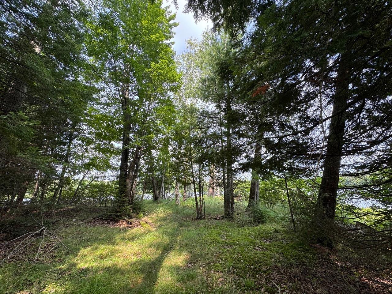 Martha Lake Property 1992W Diamond Rd Photo 27