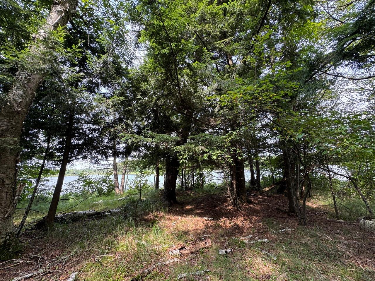Martha Lake Property 1992W Diamond Rd Photo 3