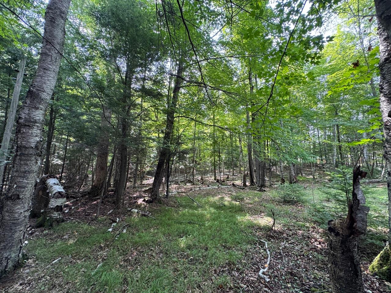 Martha Lake Property 1992W Diamond Rd Photo 30