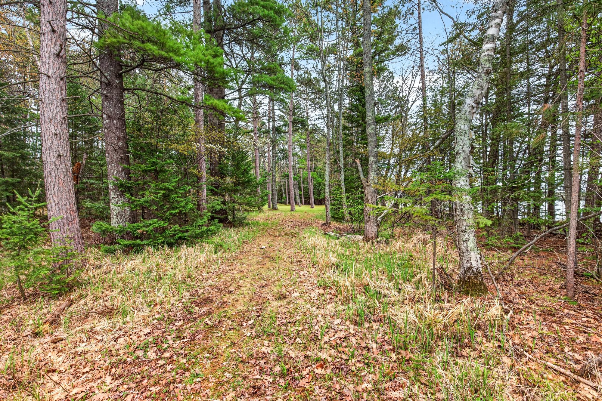 North Twin Lake Property 3980 Pedersen Tr Photo 73