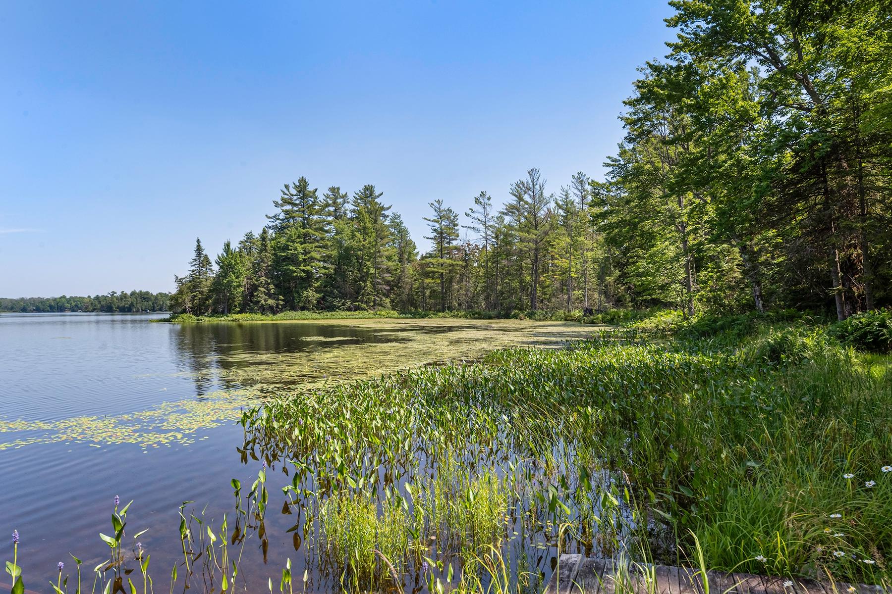 Annabelle Lake Property 11072 Annabelle Shores Rd Photo 56