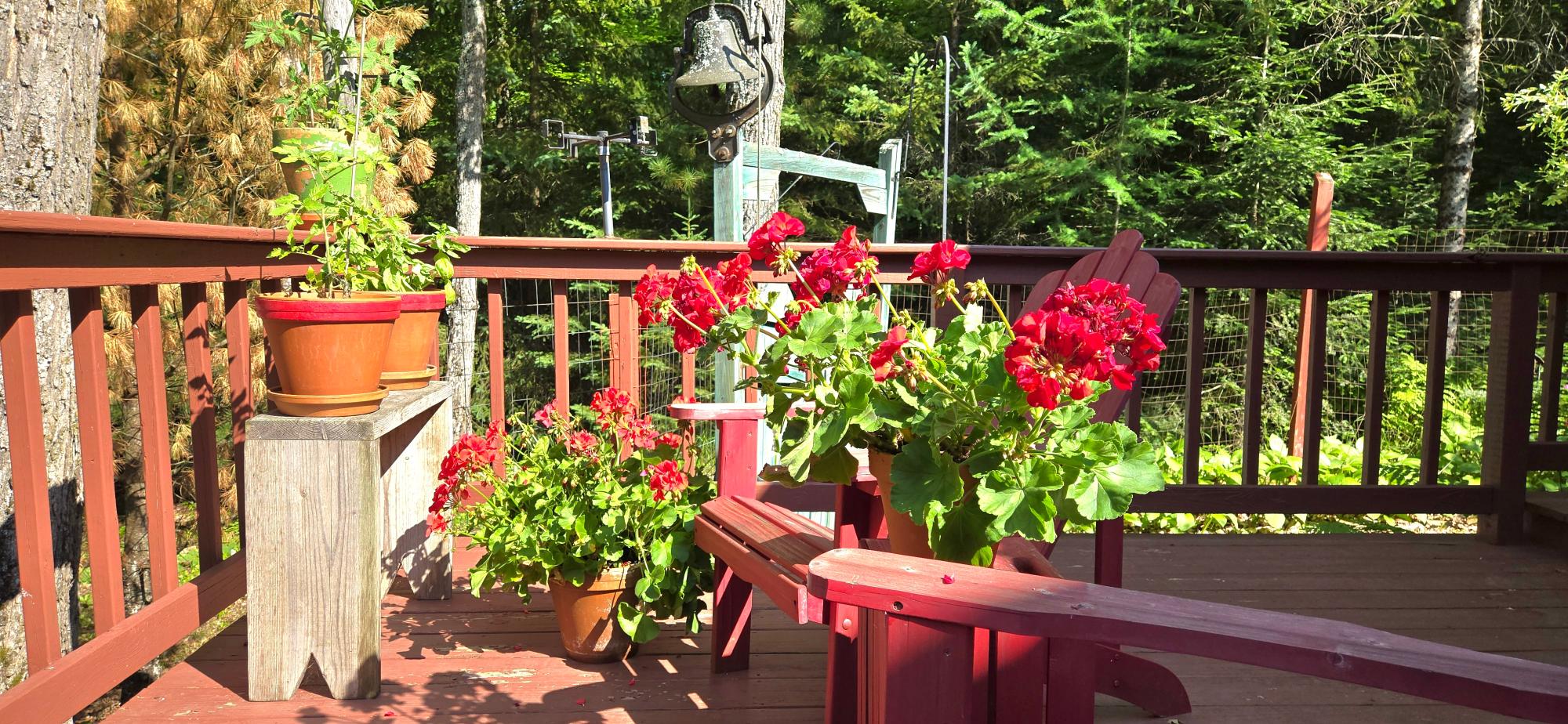 Annabelle Lake Property 11072 Annabelle Shores Rd Photo 57