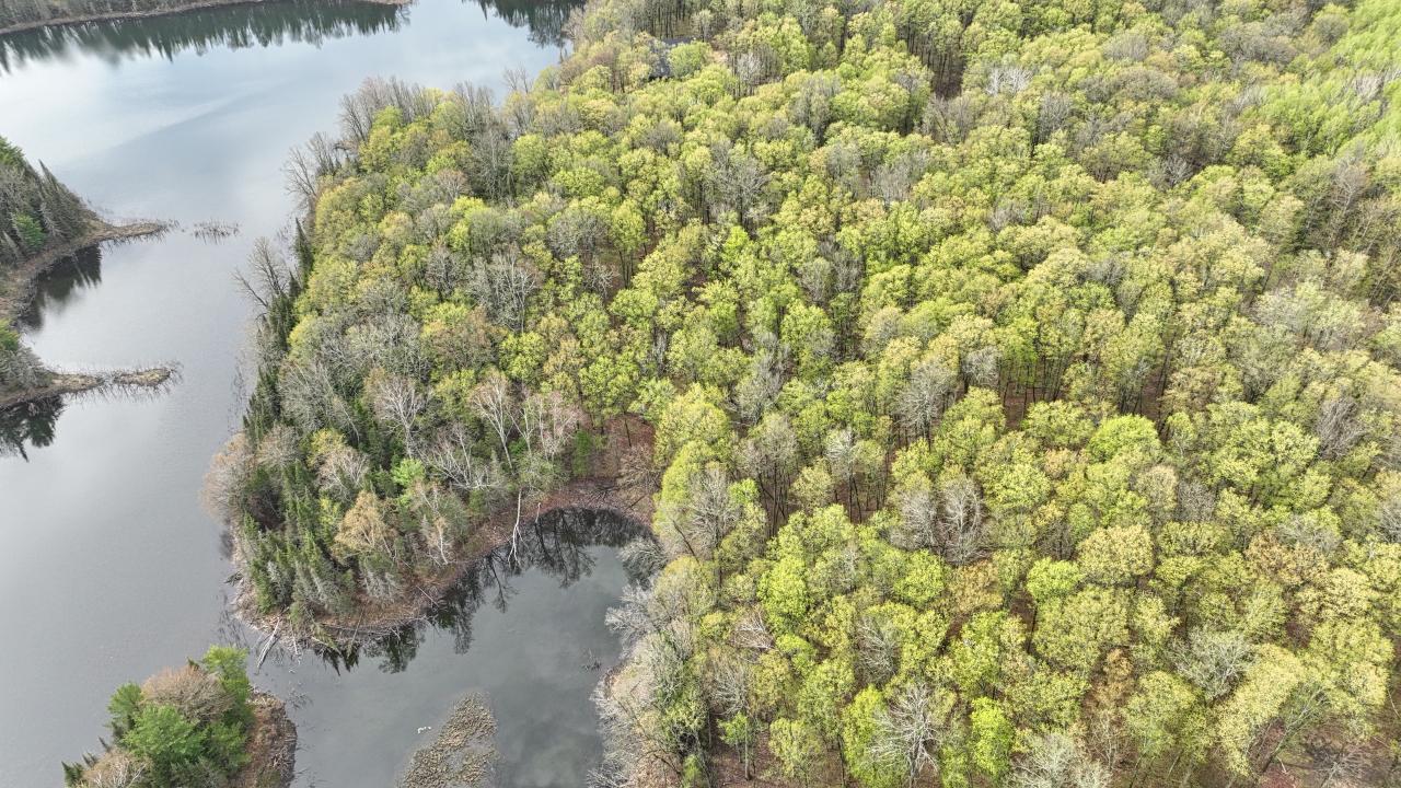 Indian Lake (L) Property ON Ottawa Ln Photo 10