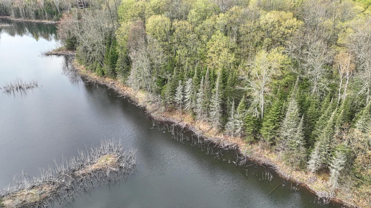 Indian Lake (L) Property ON Ottawa Ln Photo 11
