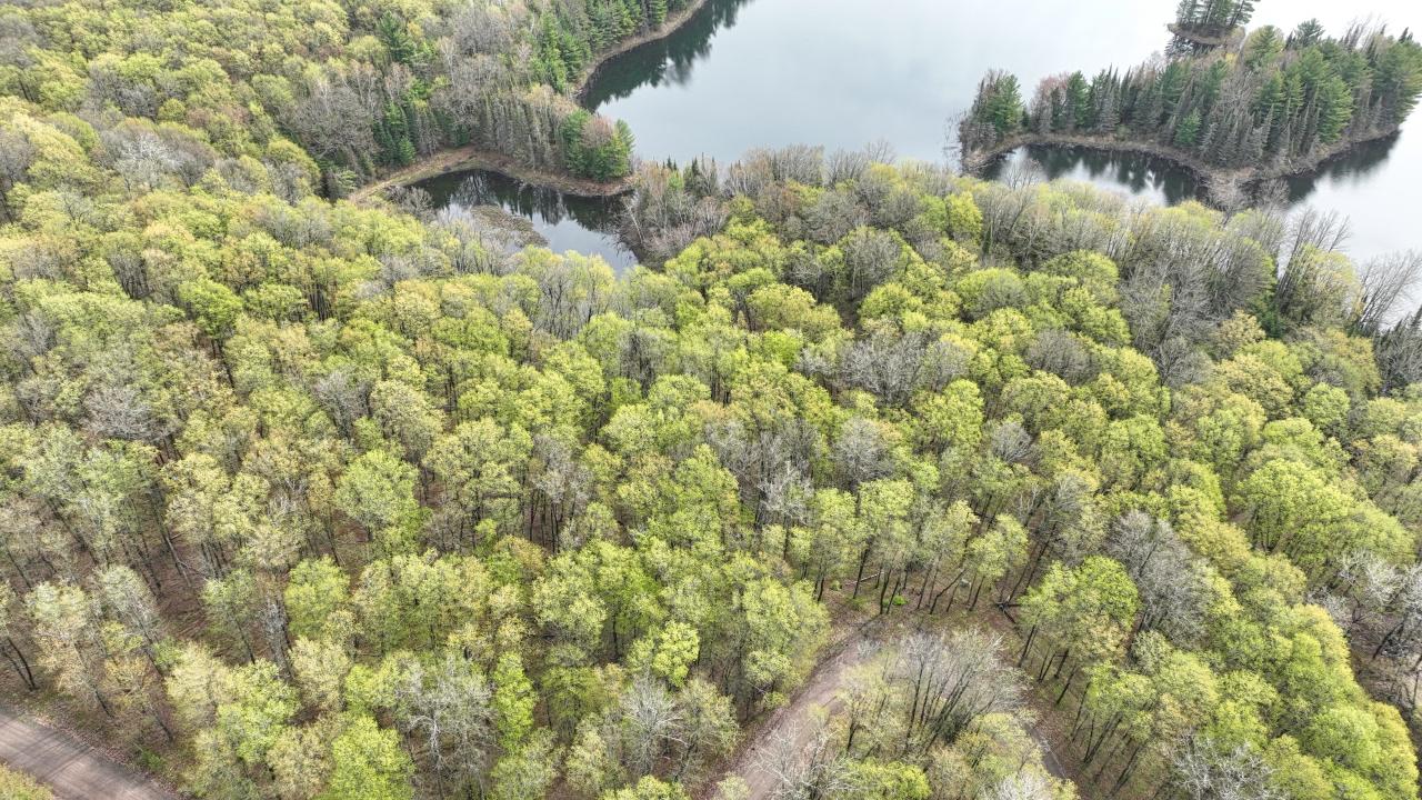 Indian Lake (L) Property ON Ottawa Ln Photo 14