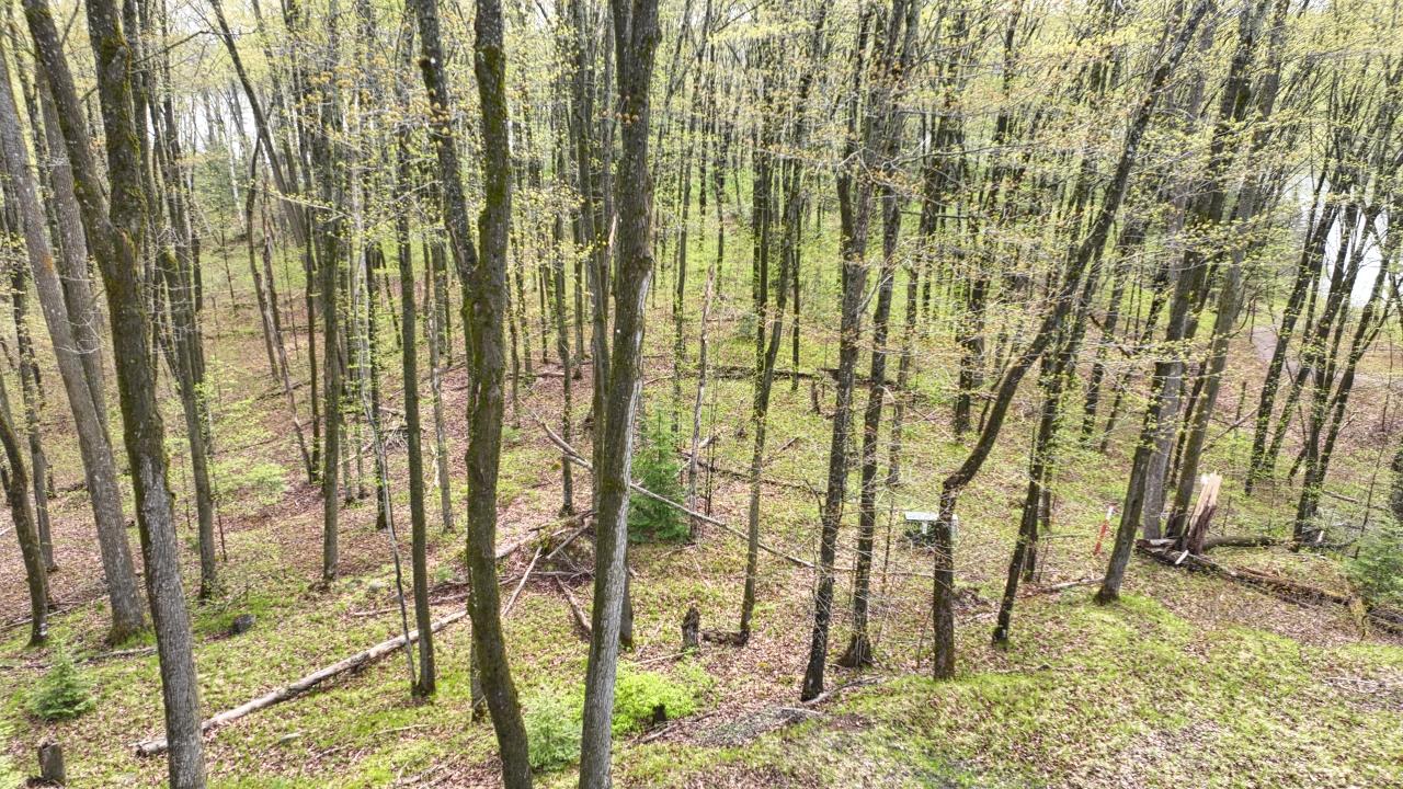 Indian Lake (L) Property ON Ottawa Ln Photo 16