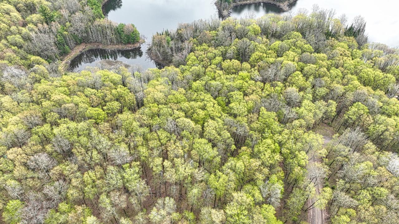 Indian Lake (L) Property ON Ottawa Ln Photo 6
