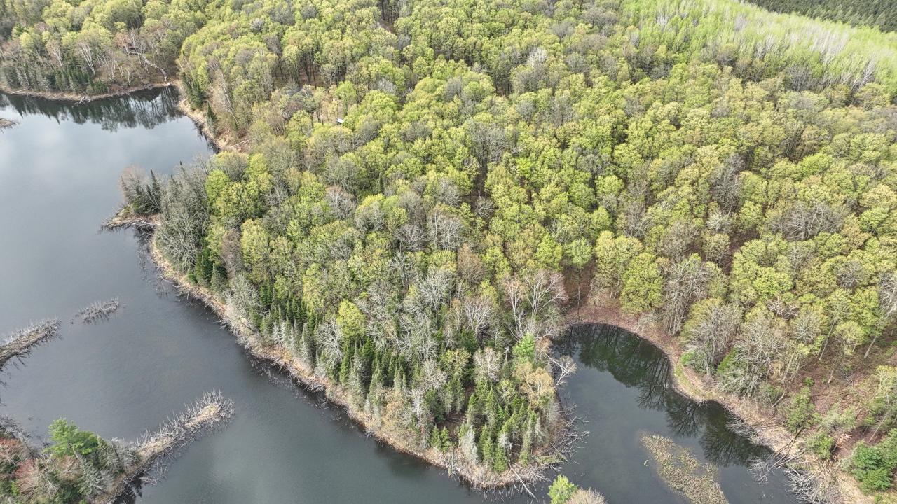 Indian Lake (L) Property ON Ottawa Ln Photo 9