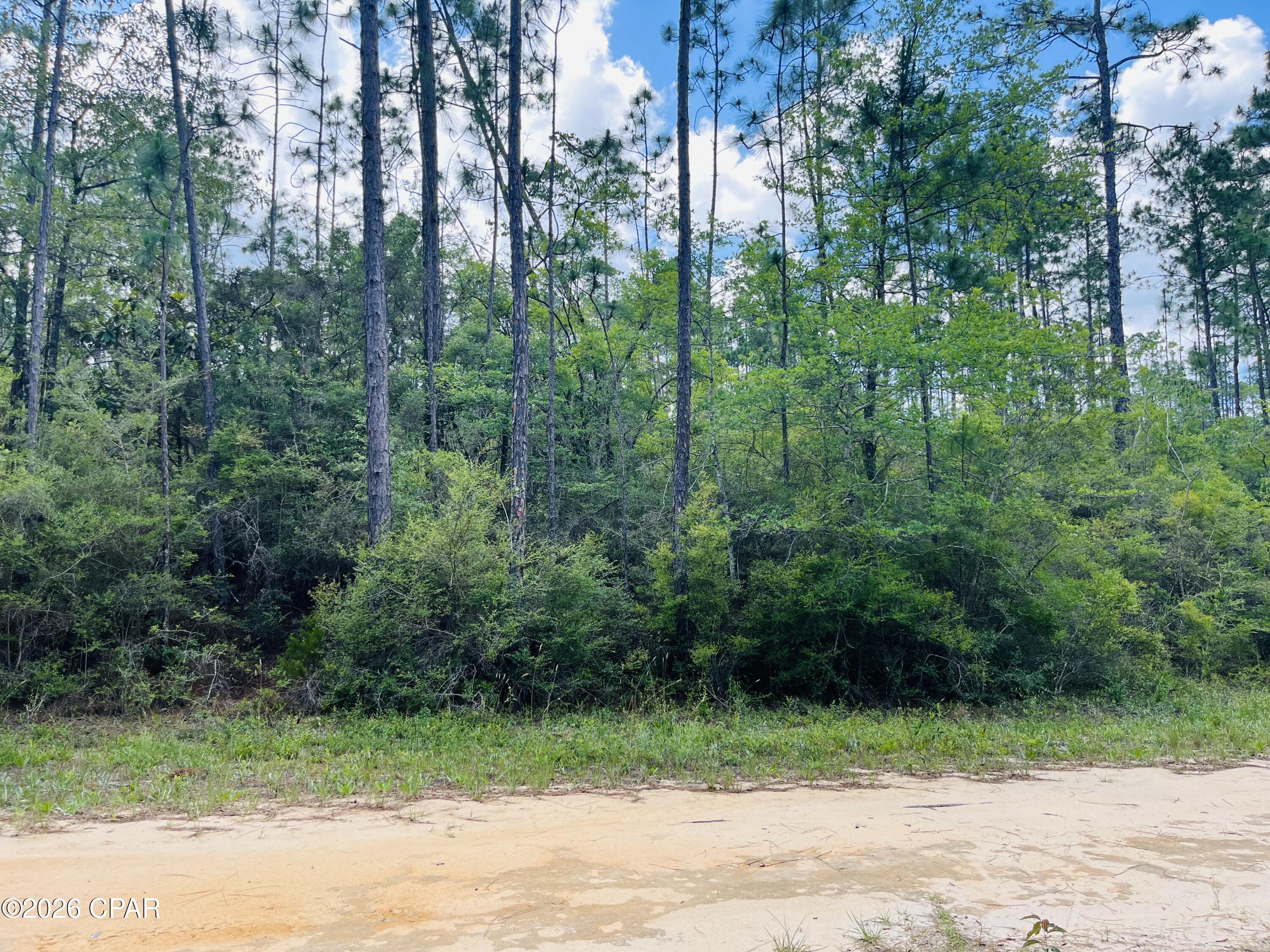 Homes for sale in Alford, FL | Tbd Chaco Cir, Alford, FL 32420 | MLS# 790283