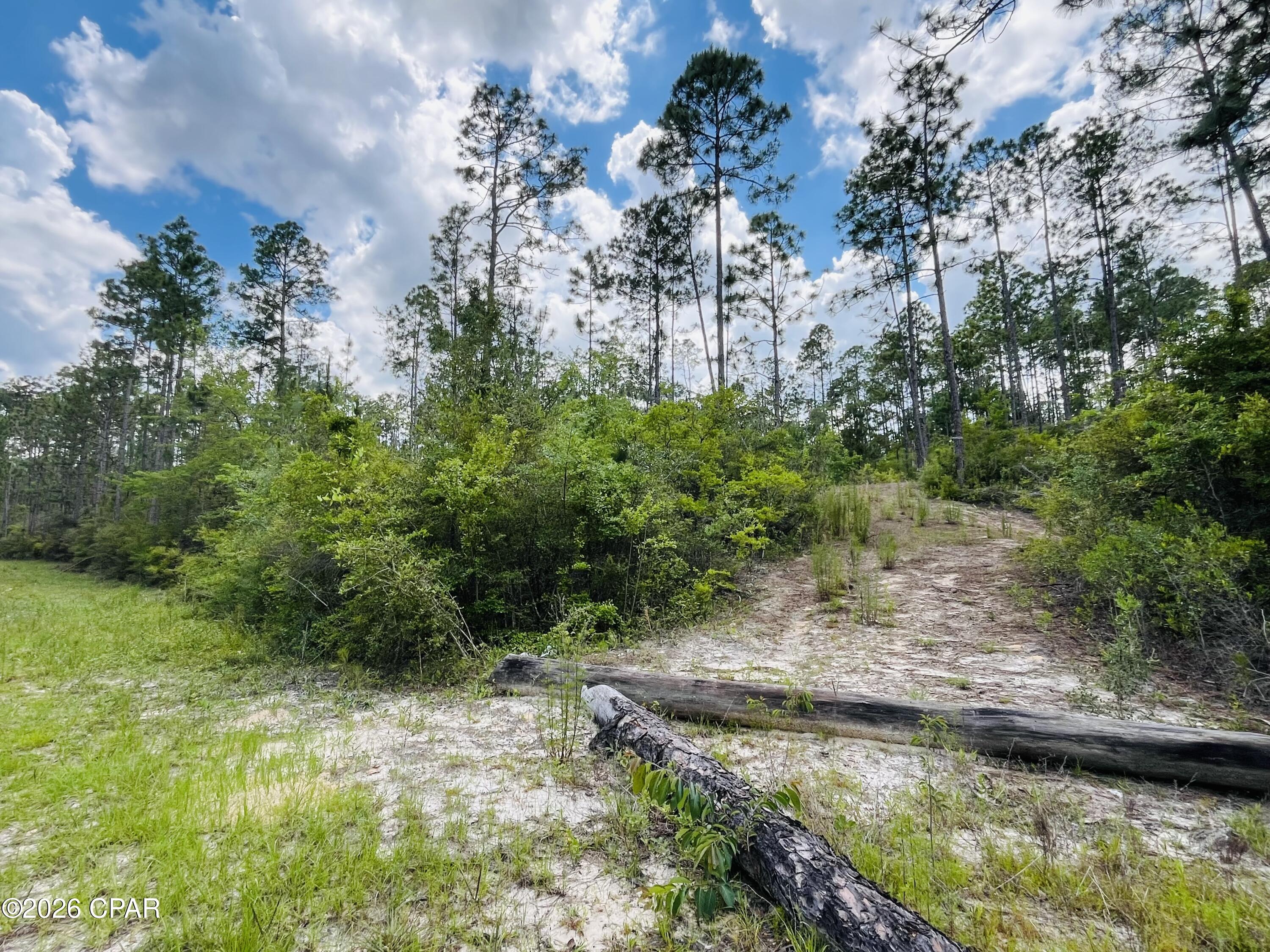 Homes for sale in Alford, FL | Tbd Chaco Cir, Alford, FL 32420 | MLS# 790283