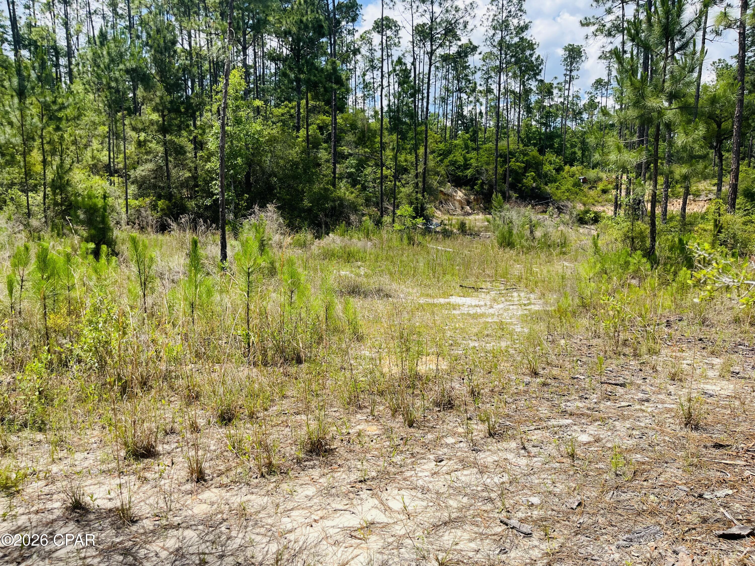 Homes for sale in Alford, FL | Tbd Chaco Cir, Alford, FL 32420 | MLS# 790283