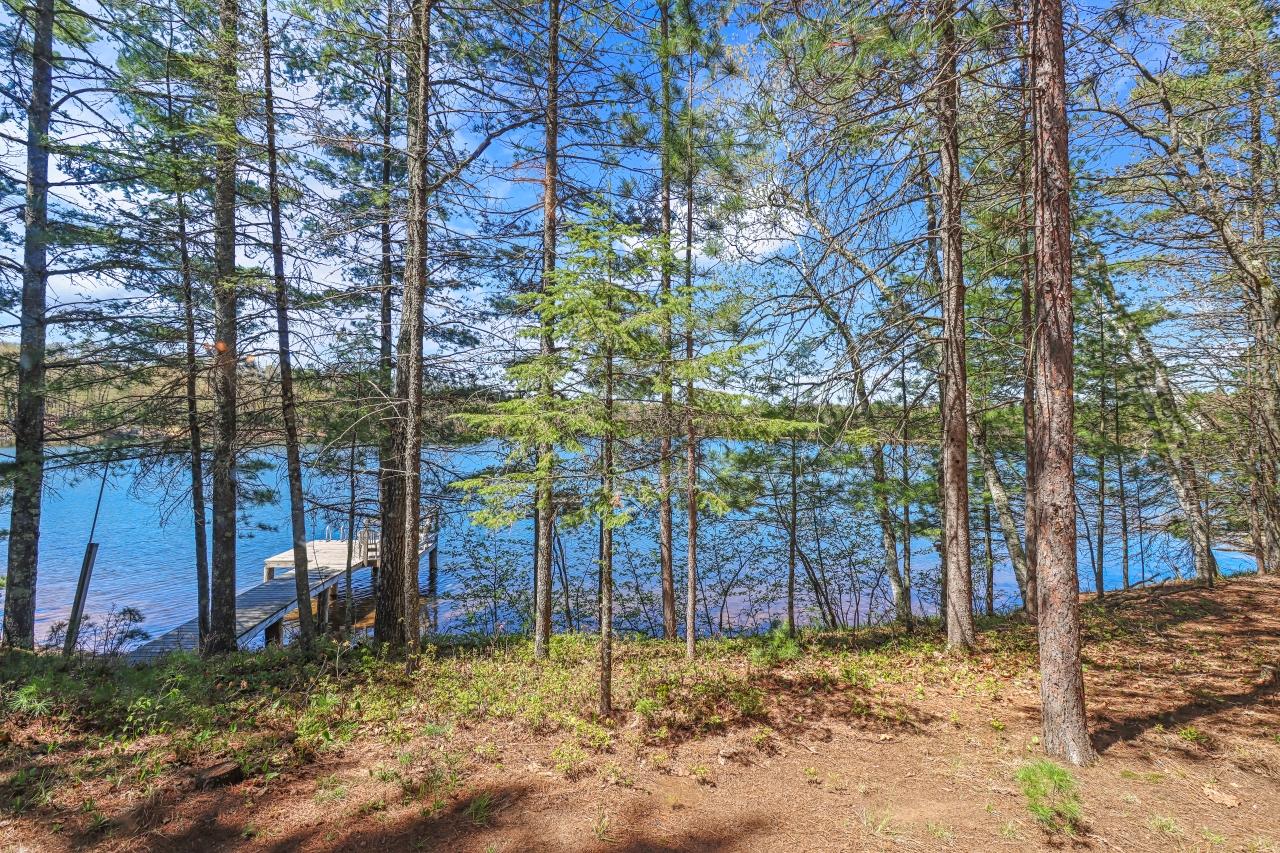 Nelson Lake MW Property 4621 Nelson Lake Ln Photo 29