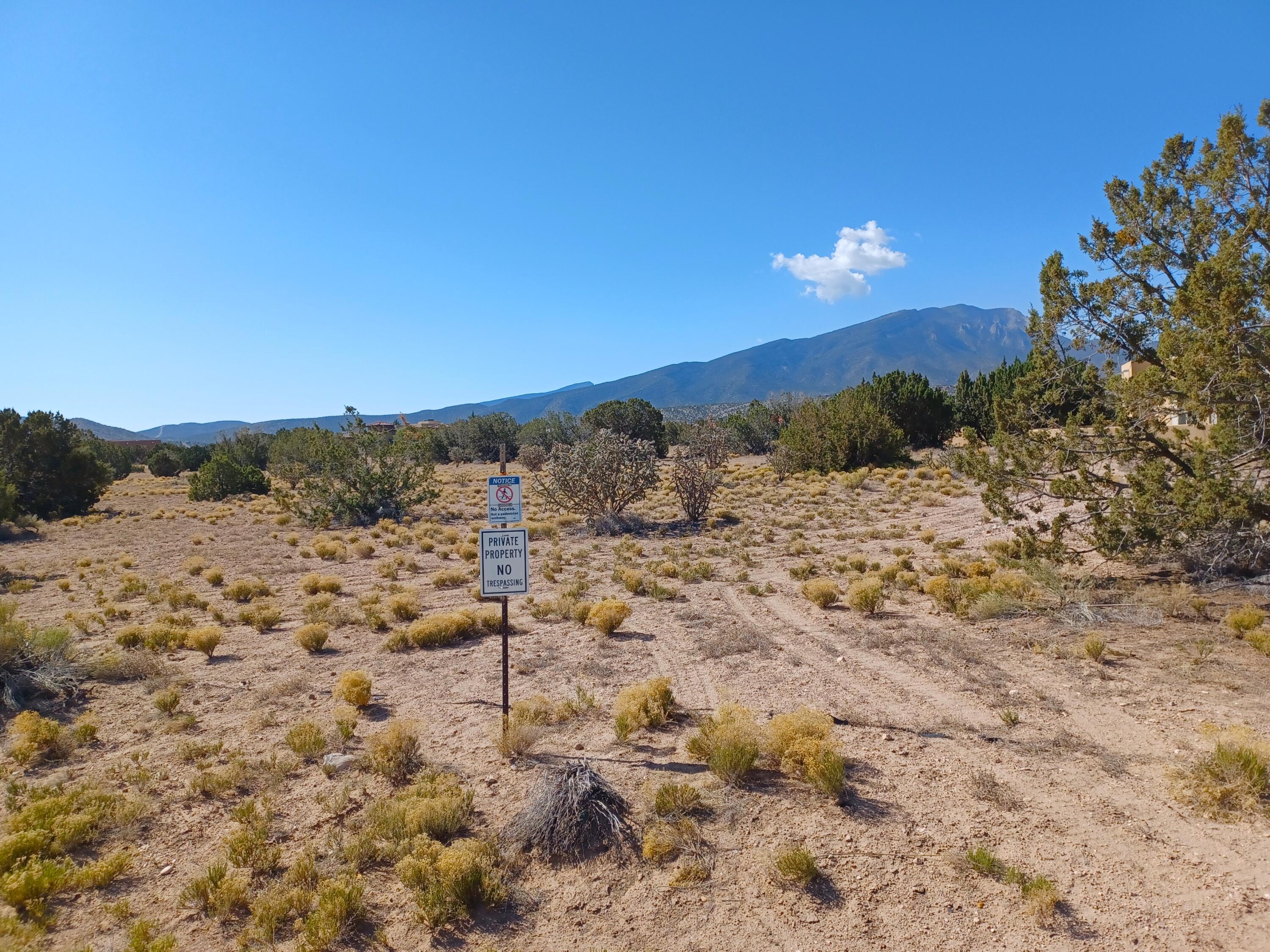 Photo 17 —  Palomino Road