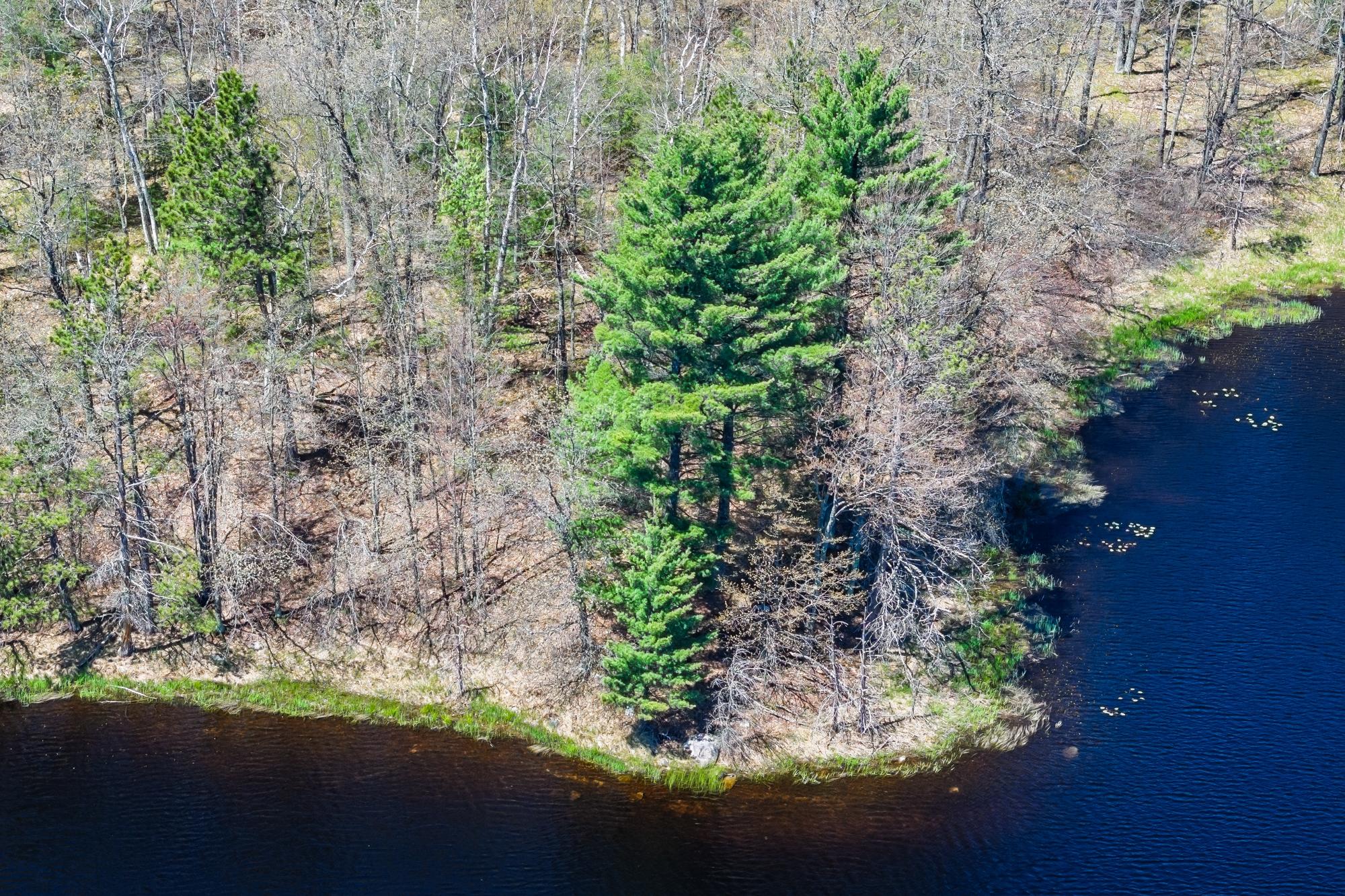 River Property Property Off River Rd Photo 17