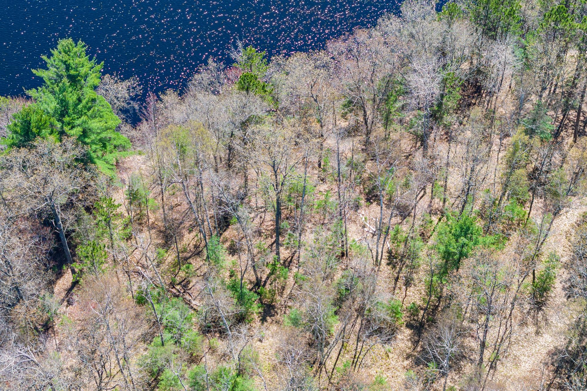 River Property Property Off River Rd Photo 23