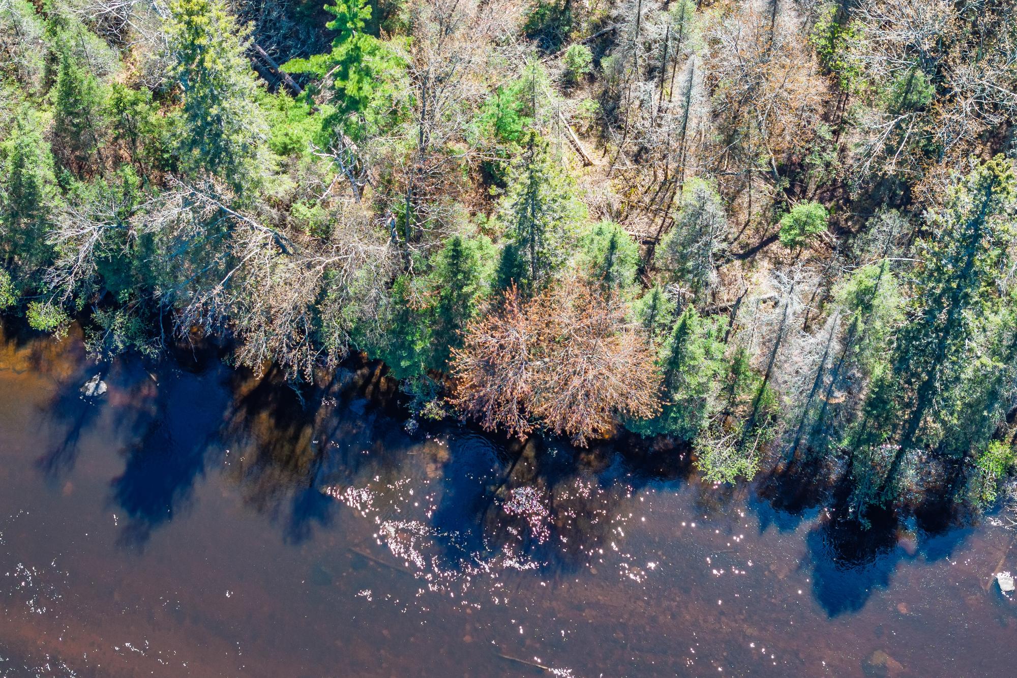 River Property Property Off River Rd Photo 5