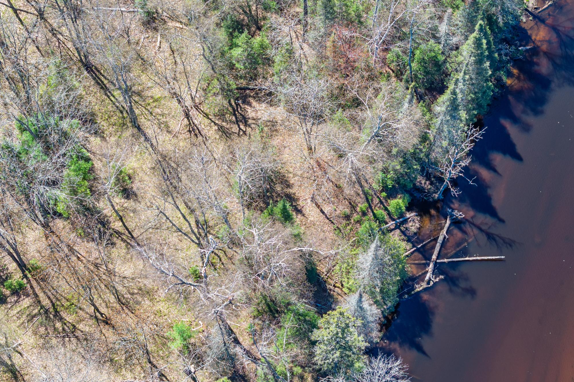 River Property Property Off River Rd Photo 4