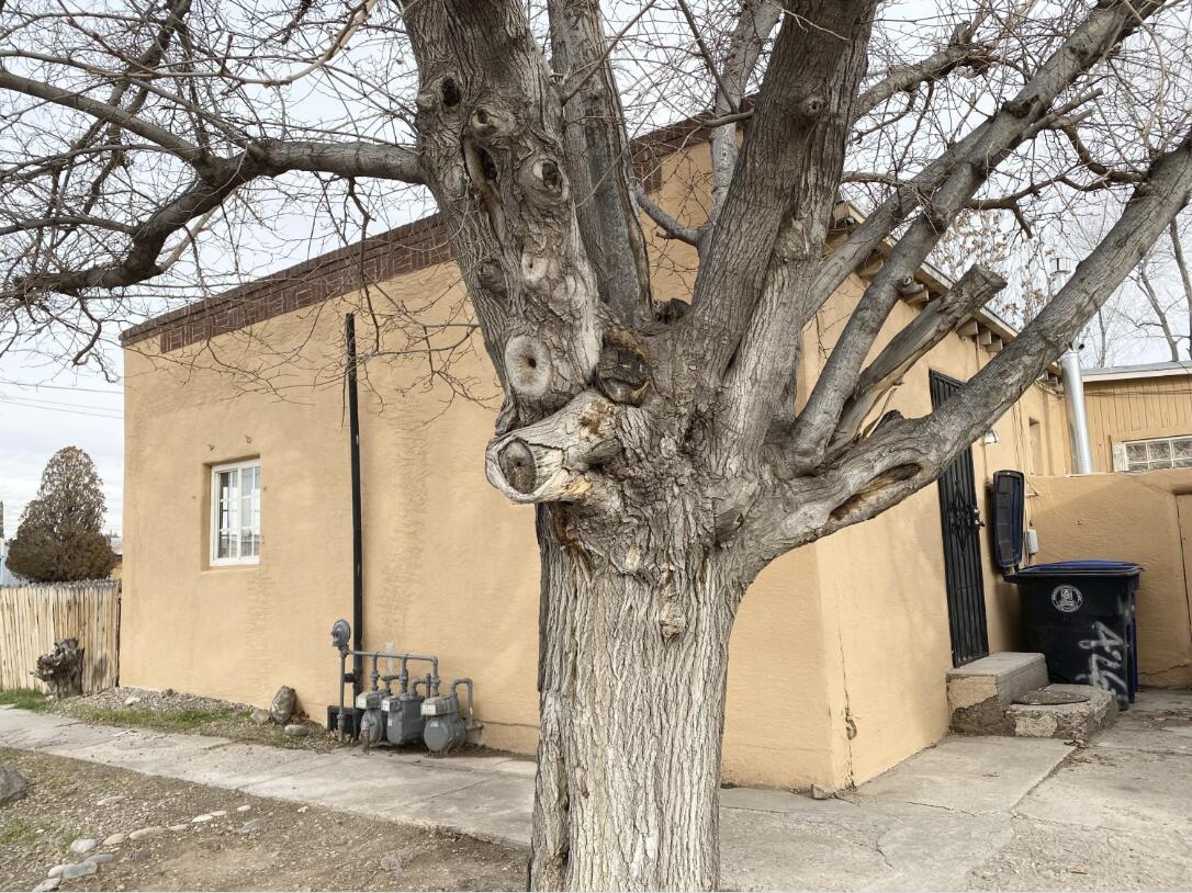 Photo 10 — 426 Headingly Avenue NW B