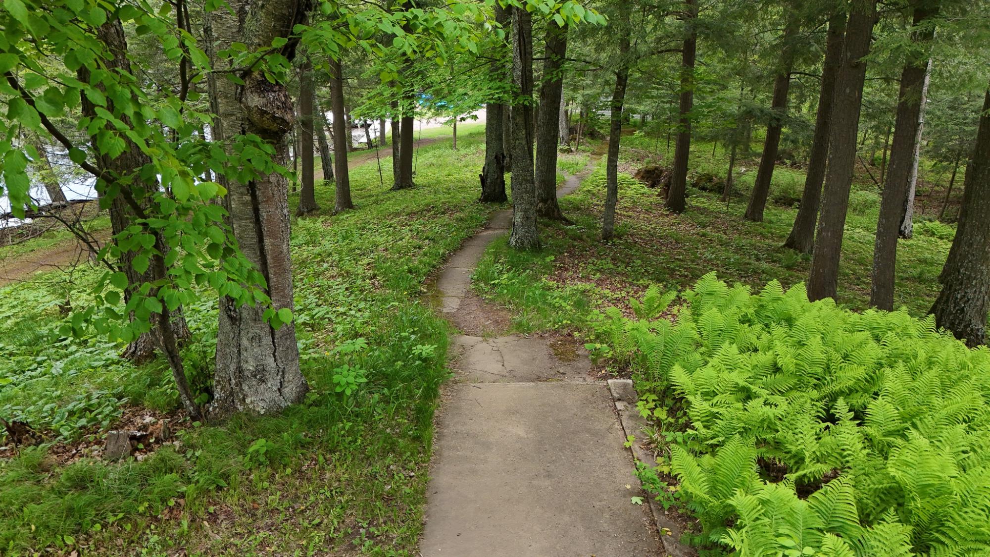 Pickerel Lake (C) Property 230 Vista Ln Photo 15