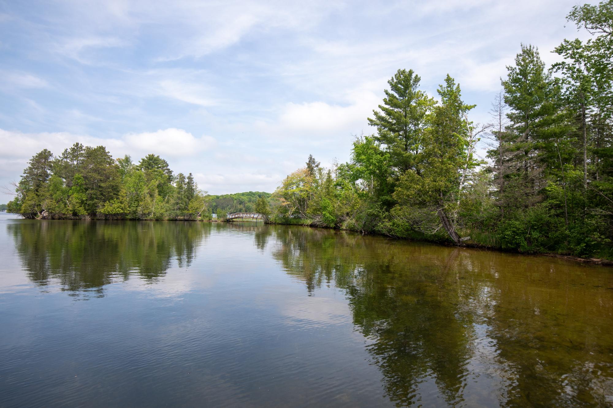 Pickerel Lake (C) Property 230 Vista Ln Photo 23