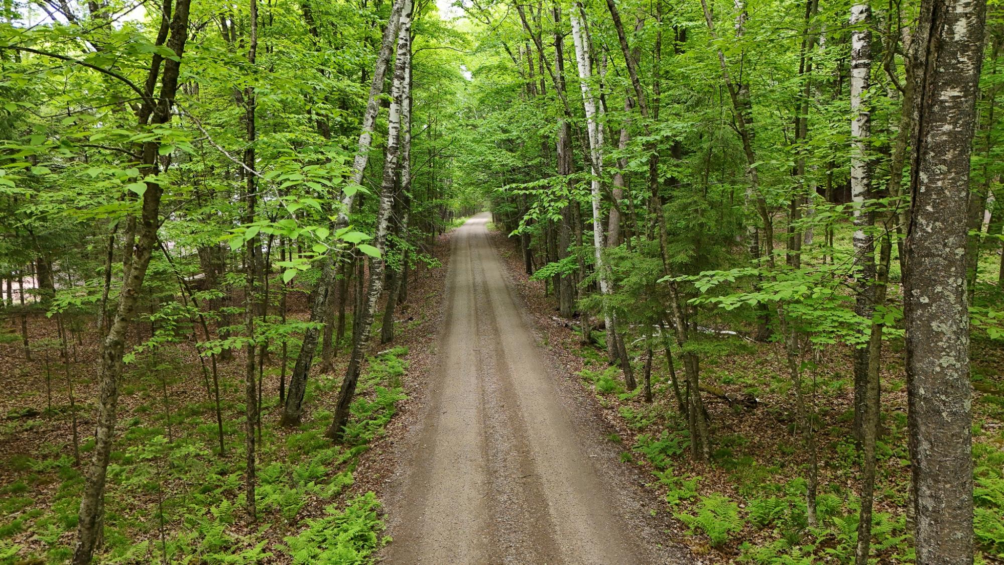 Pickerel Lake (C) Property 230 Vista Ln Photo 26