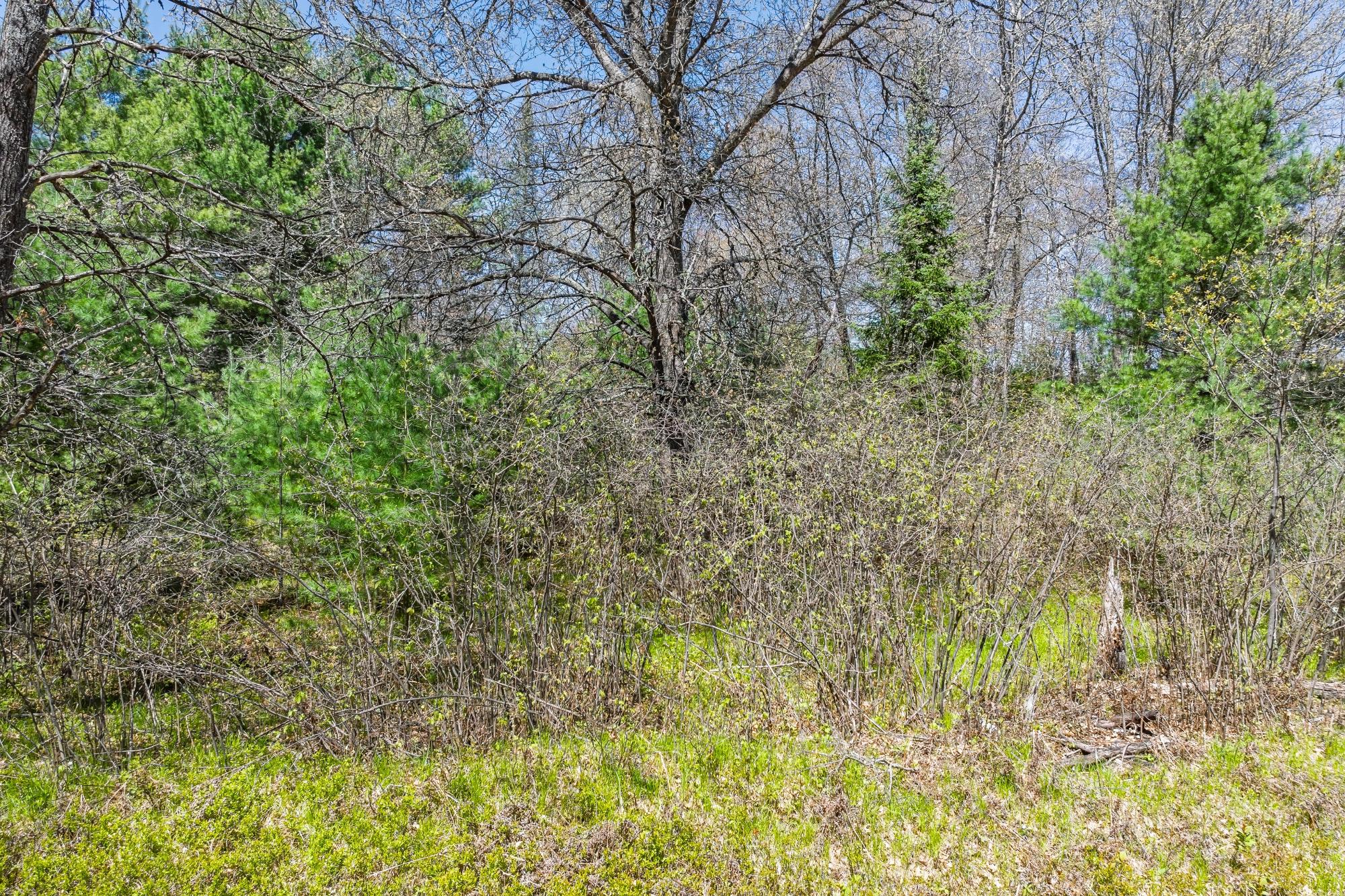 River Property Property Off River Rd Photo 6
