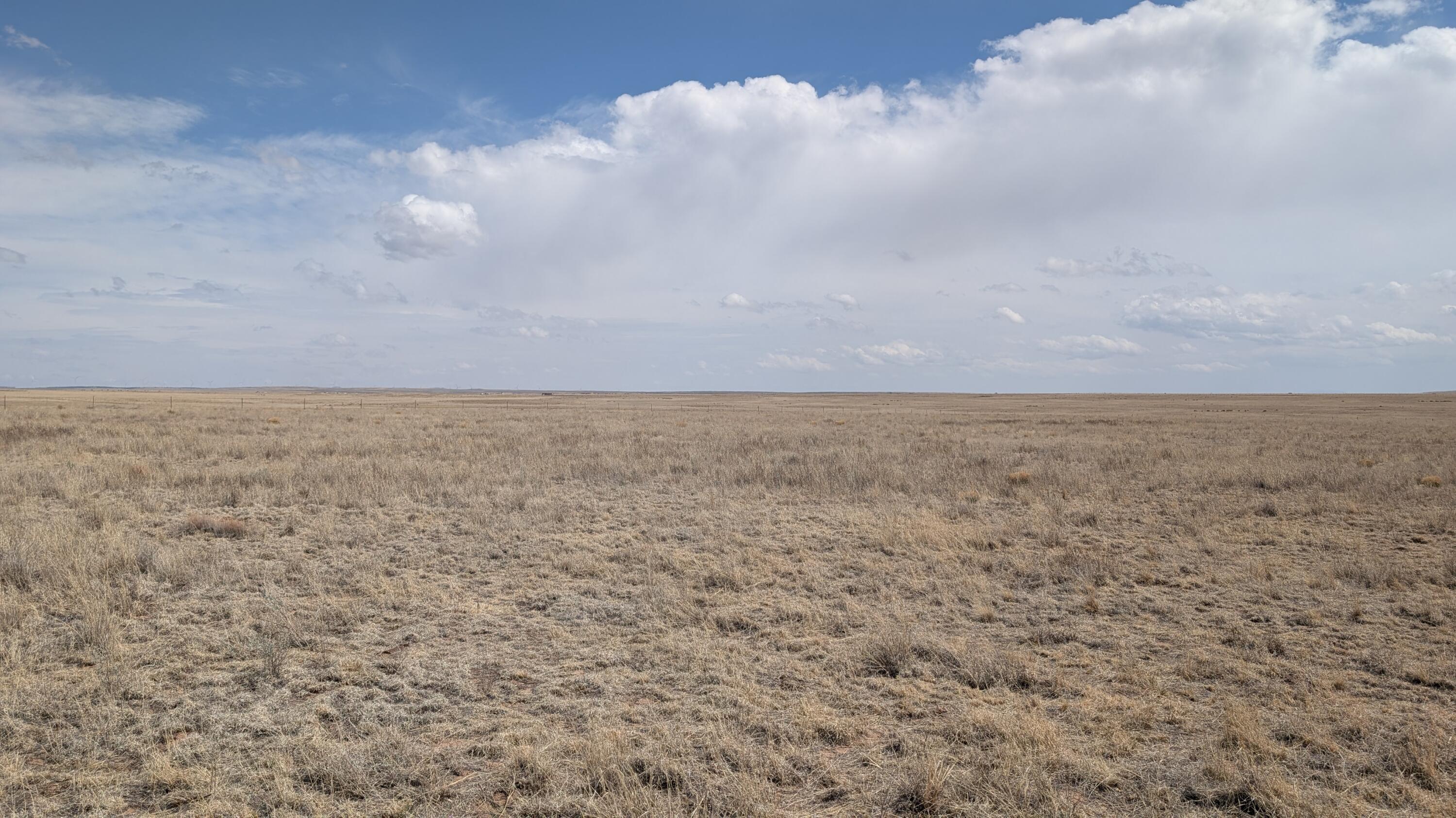 Photo 12 —  Lot 16 Lobo Acres