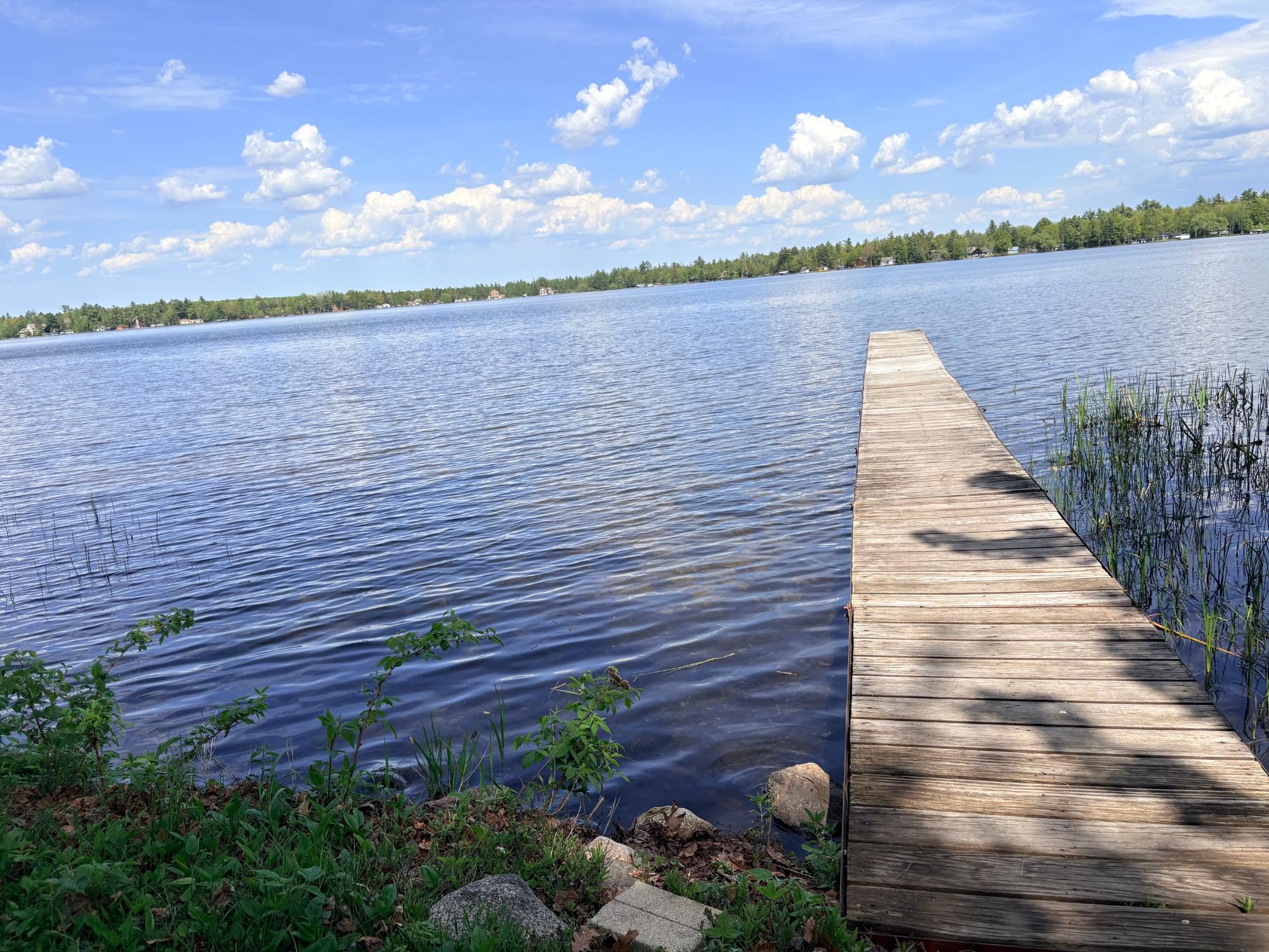 Pelican Lake Property 2465 Norway Point Dr Photo 18