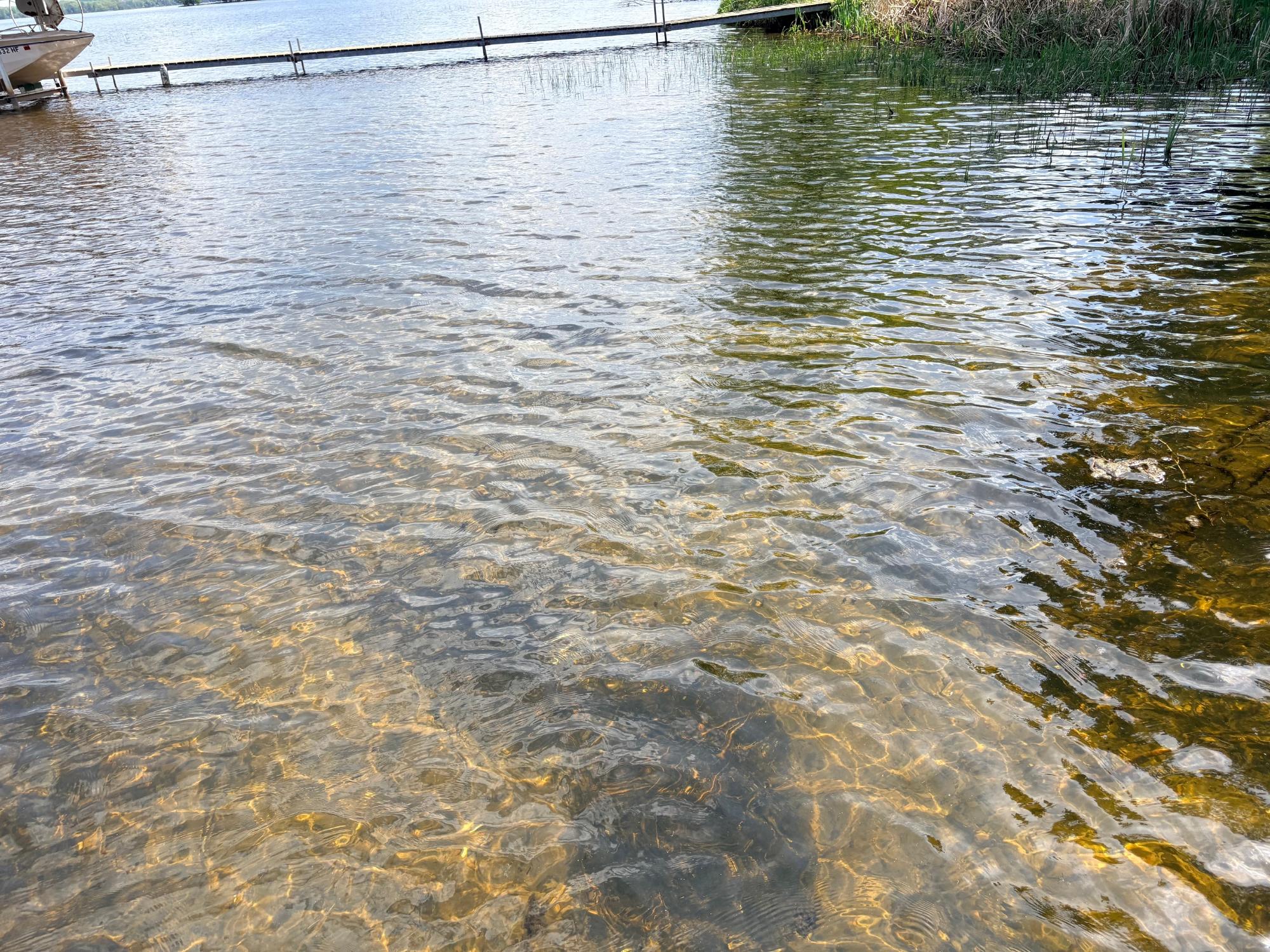 Pelican Lake Property 2465 Norway Point Dr Photo 20