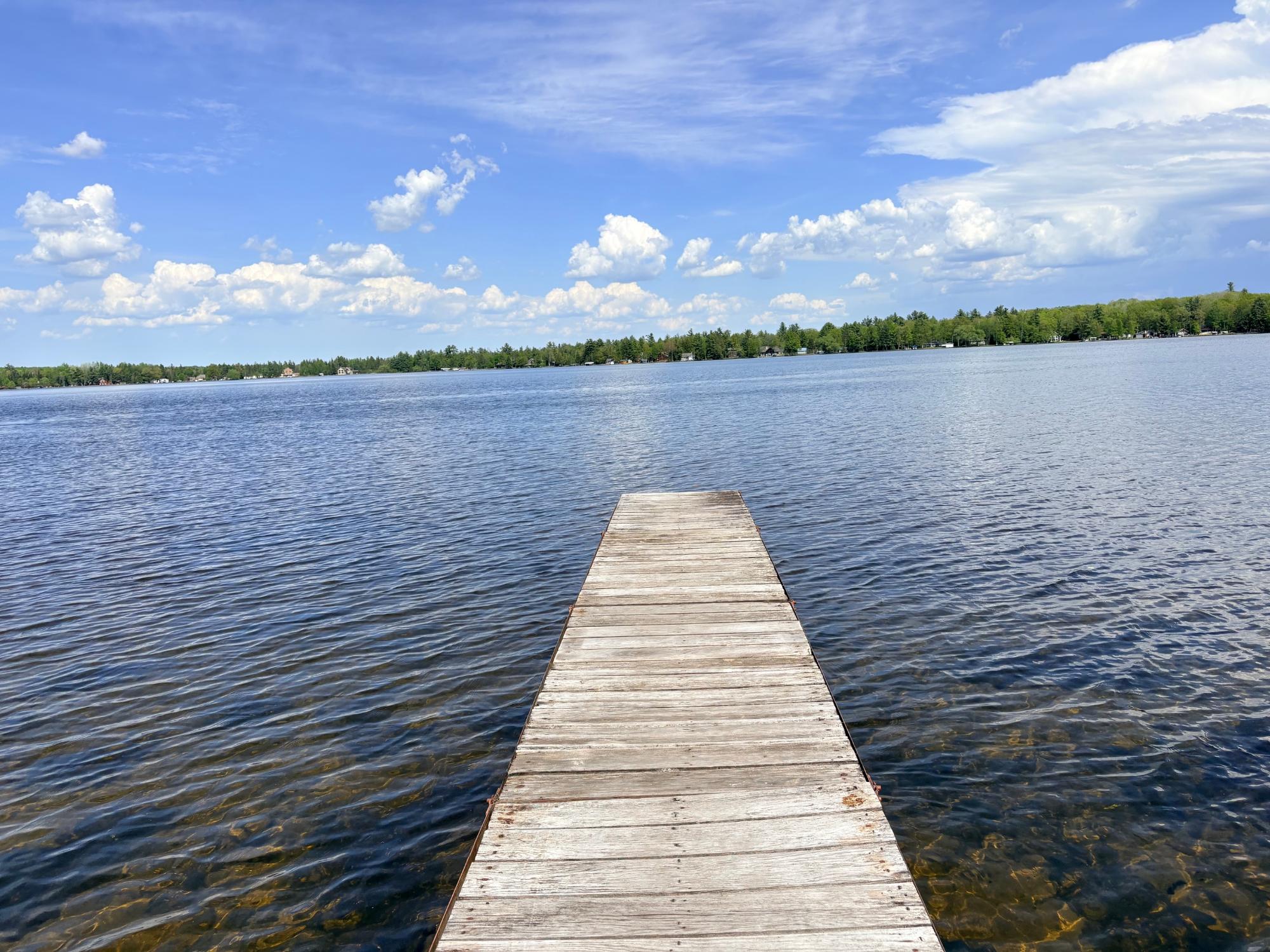 Pelican Lake Property 2465 Norway Point Dr Photo 3
