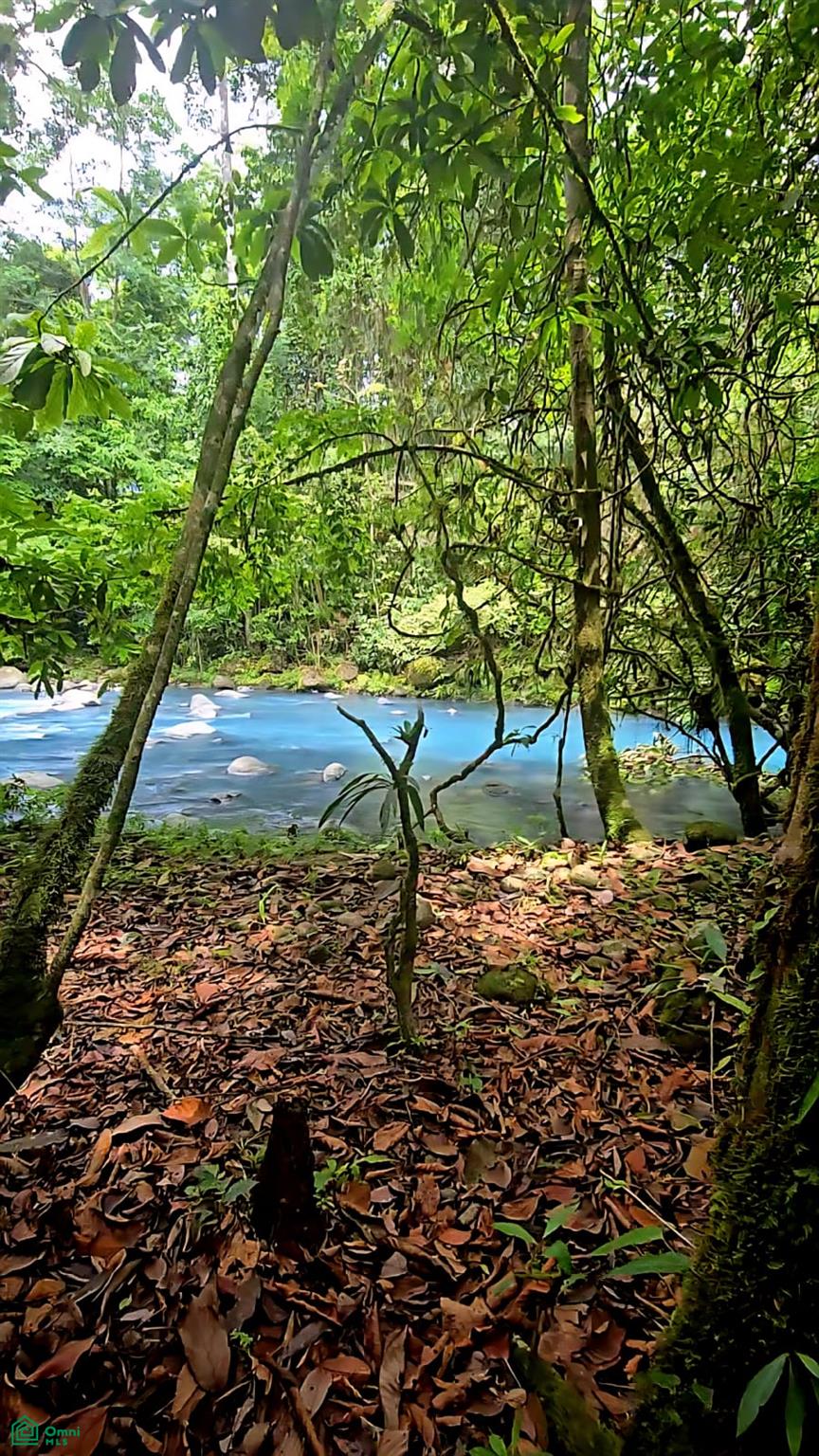  bed Land For Sale in Guatuso, Alajuela - 1