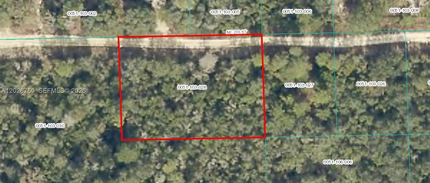 Ocala National Forest Camp
