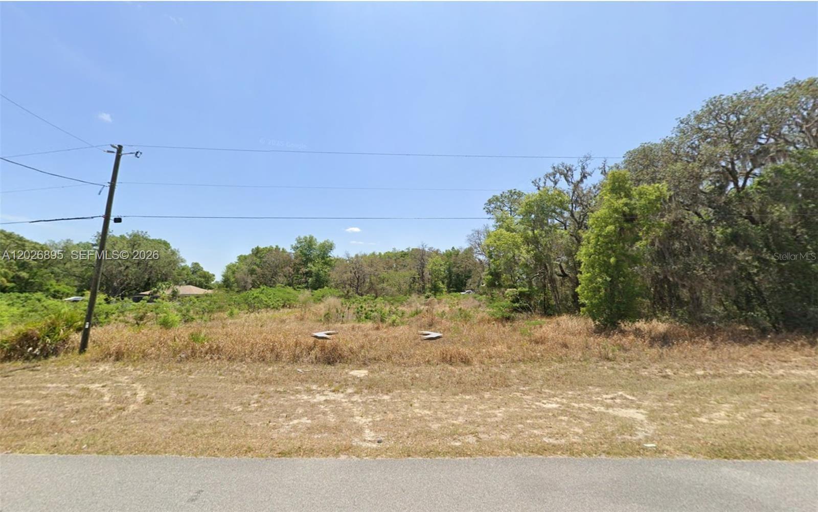 Silver Springs Shores Unit