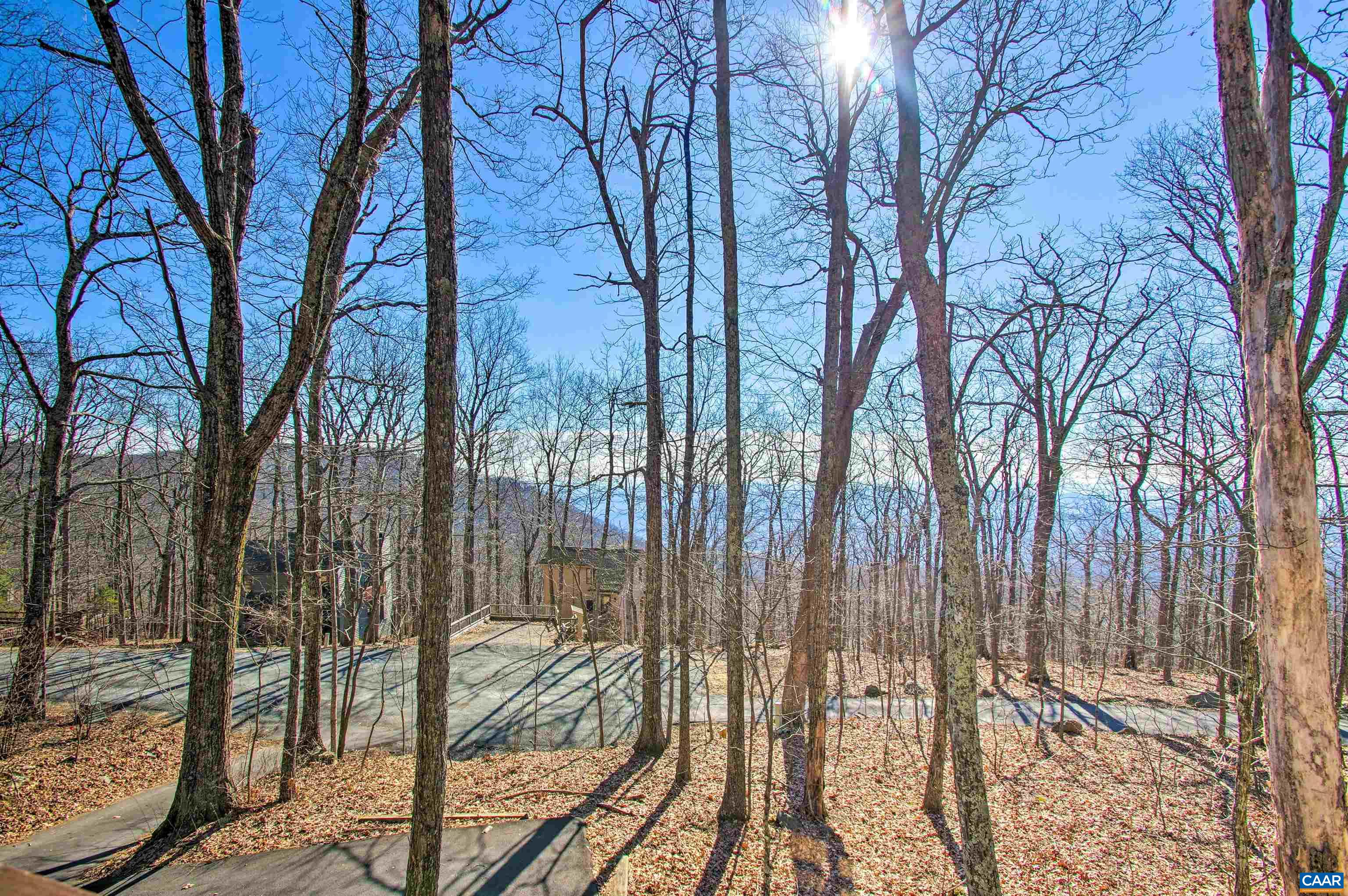 138 OAK LN, Wintergreen Resort, VA 22967