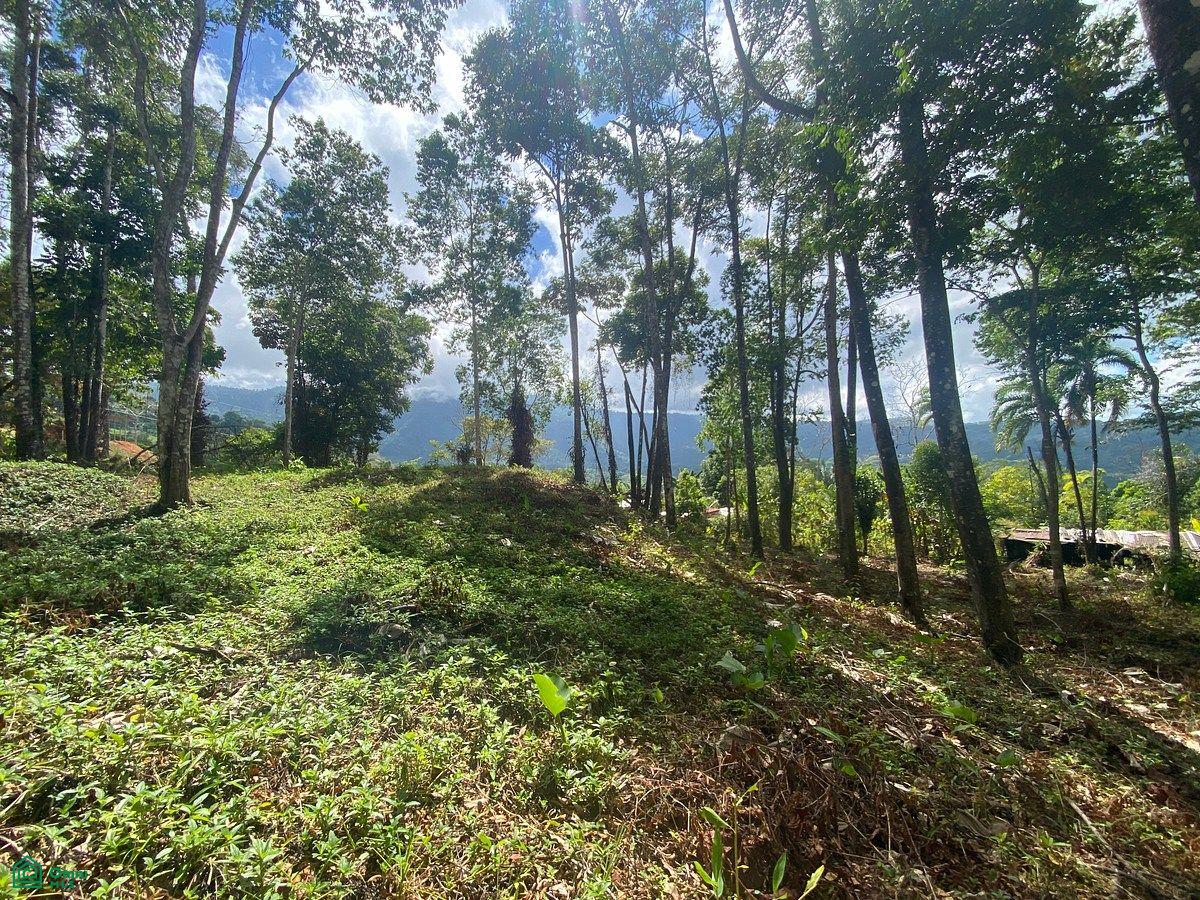 0 bed Land For Sale in , San Jose - 1