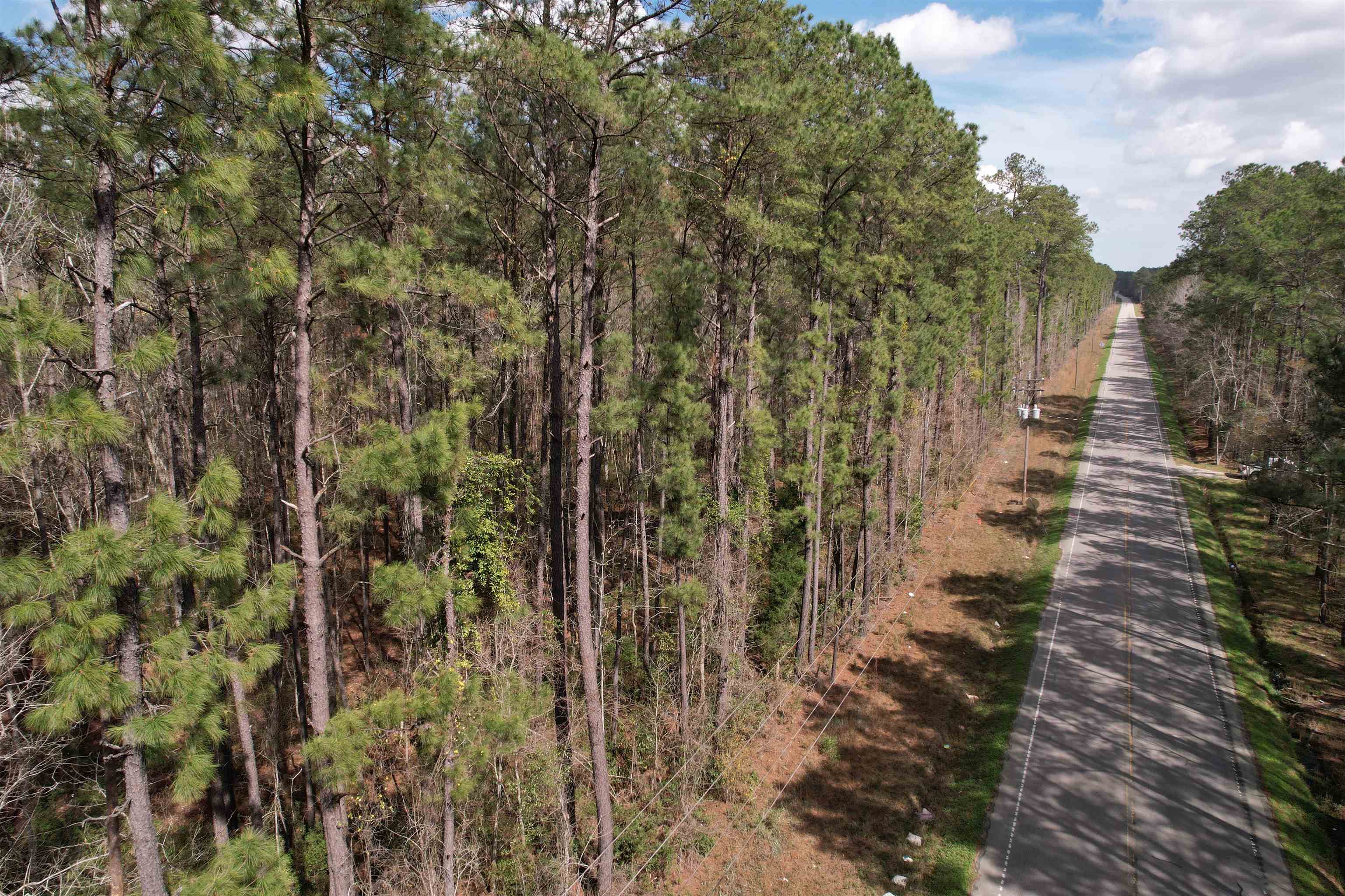 Tract B - Pennyroyal Rd. Georgetown, SC 29440