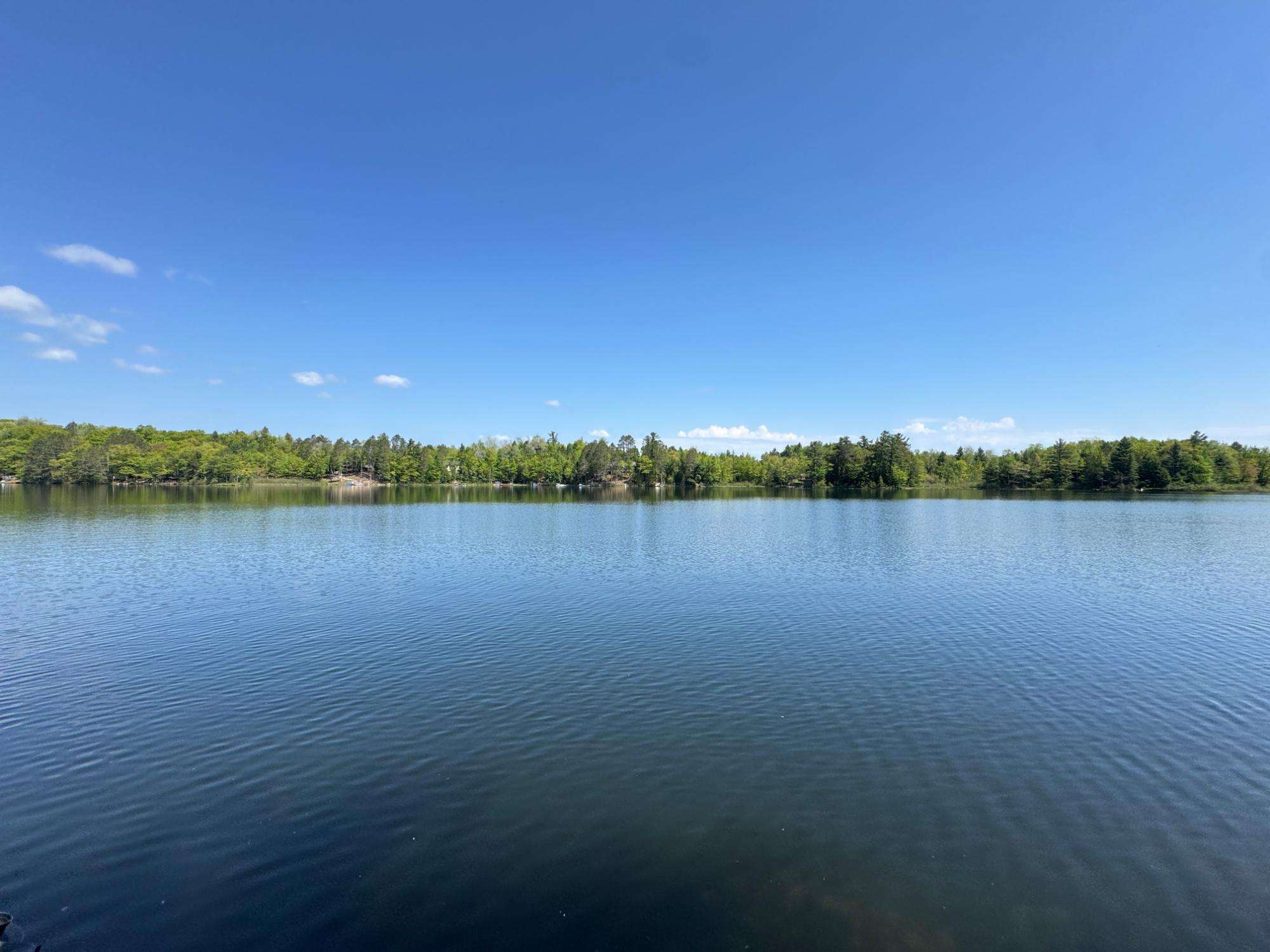 Booth Lake Property 8739 Bakely Cr W Photo 39