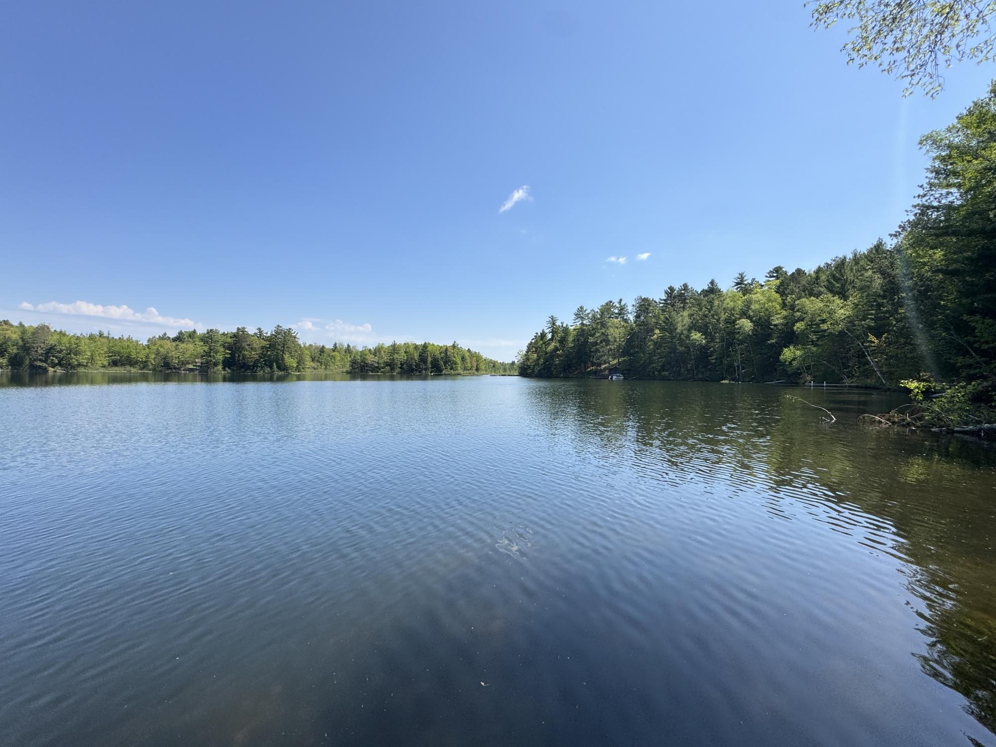 Booth Lake Property 8739 Bakely Cr W Photo 40