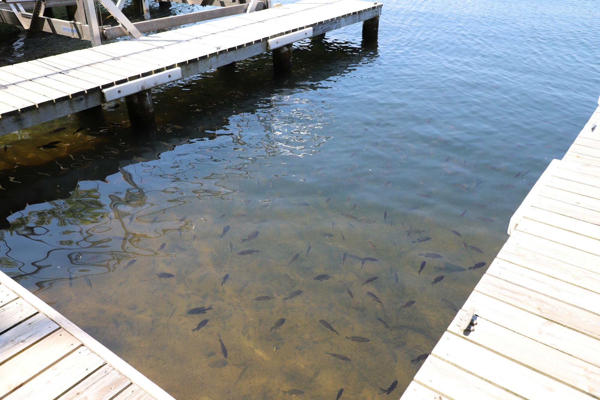 Minocqua Lake Property 8265 Hwy 51 Photo 24