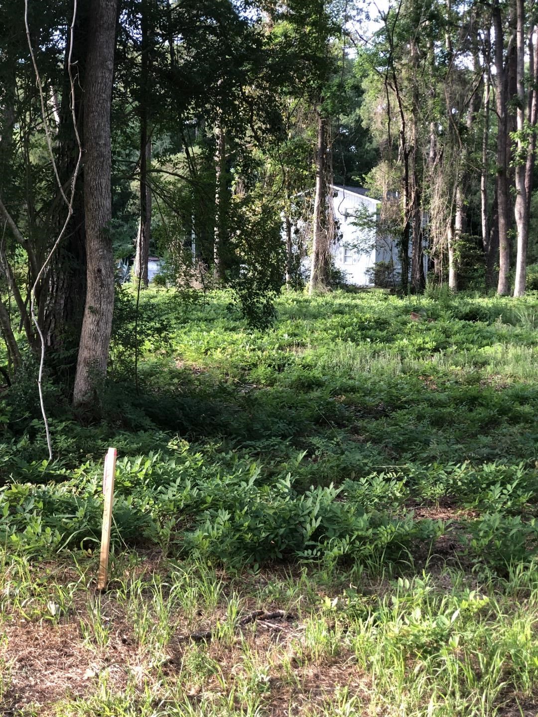 TBD Horseshoe Circle Conway, SC 29527