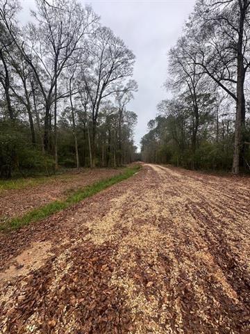 Homes for sale in Covington, LA | Lot A Hunter Oaks Ln, Covington, LA 70435 | MLS# 2560539