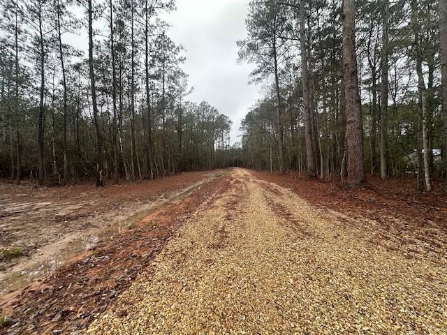 Homes for sale in Covington, LA | Lot A Hunter Oaks Ln, Covington, LA 70435 | MLS# 2560539