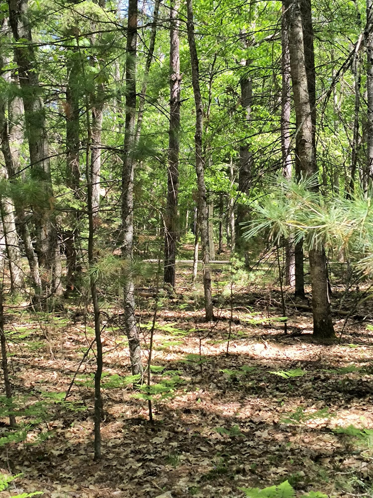 Silver Lake R Property ON Silver Lake Rd Photo 12